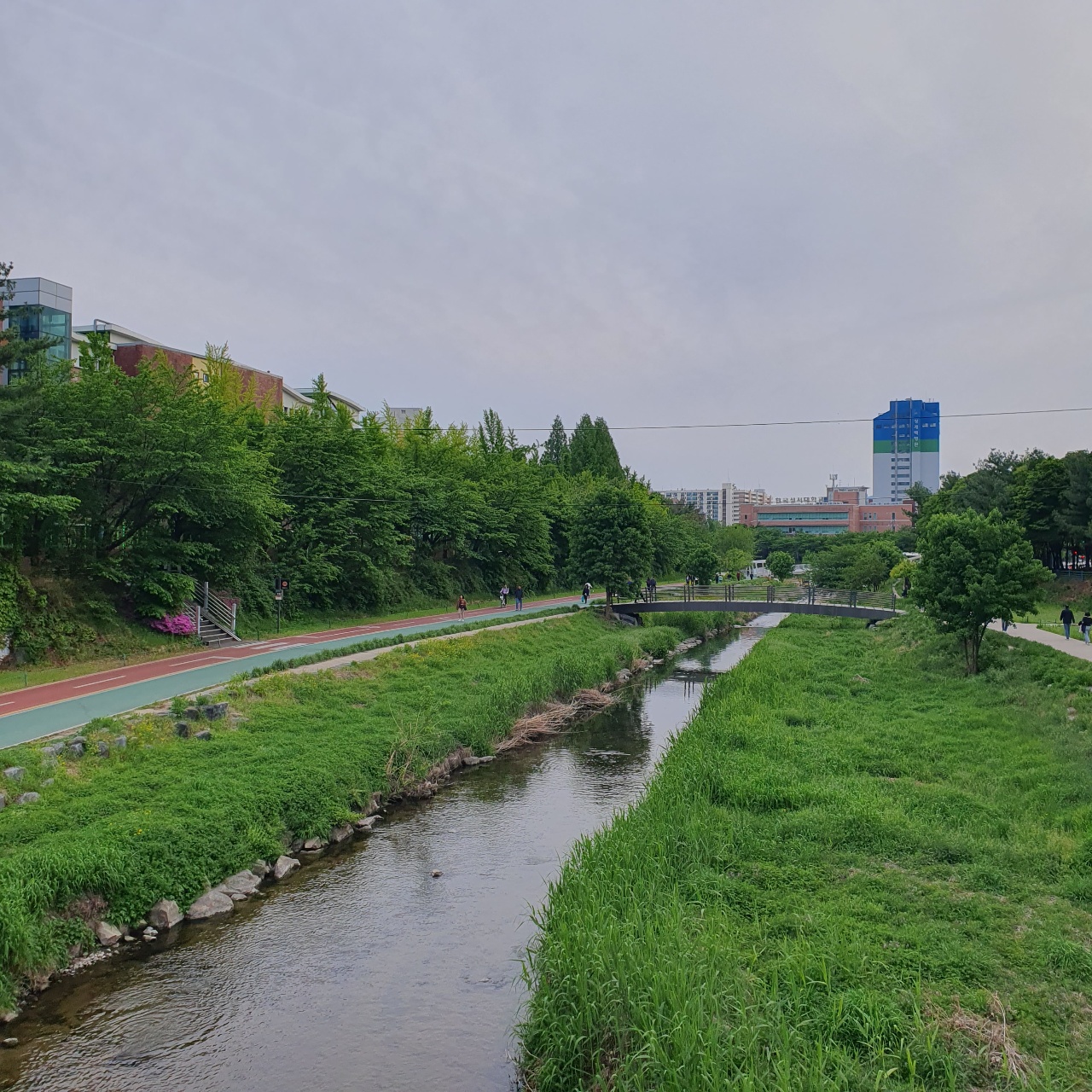 도시 공원의 산책로, 초록 잔디밭과 개울, 나무가 있는 도시 경관