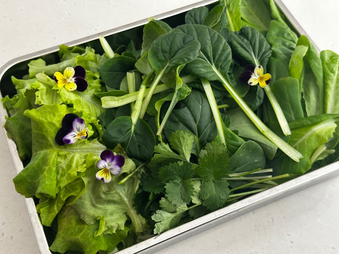 직접 키운 채소와 바베큐파티 즐기기 🍖🥬🌼