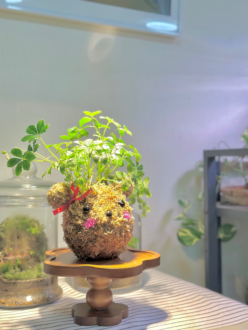 슈가바인 곰돌이 토피어리 만들기🌿🐻