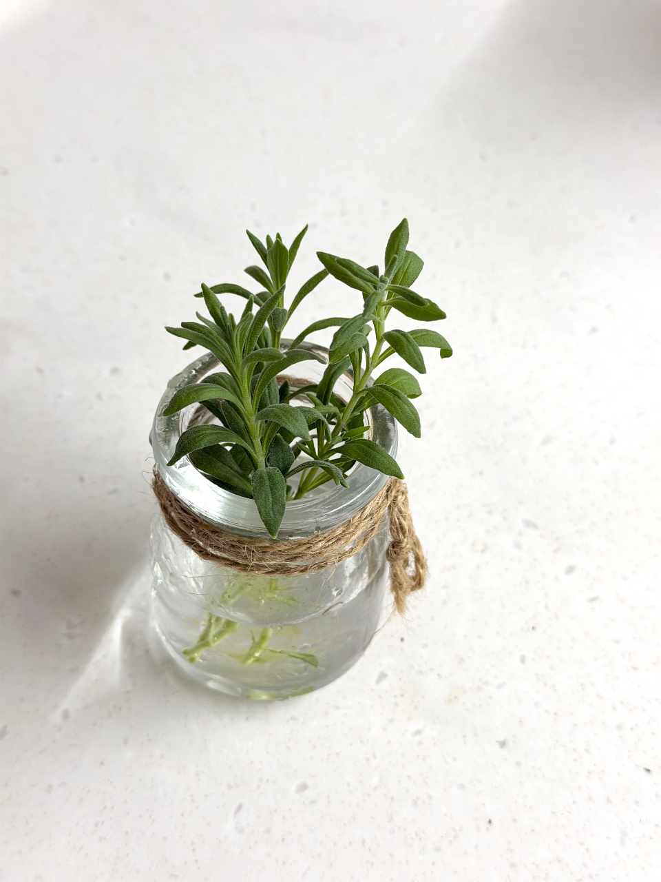 라벤더 물꽂이🌿
