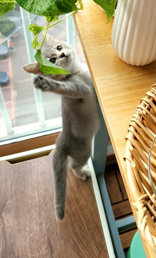 첨부파일