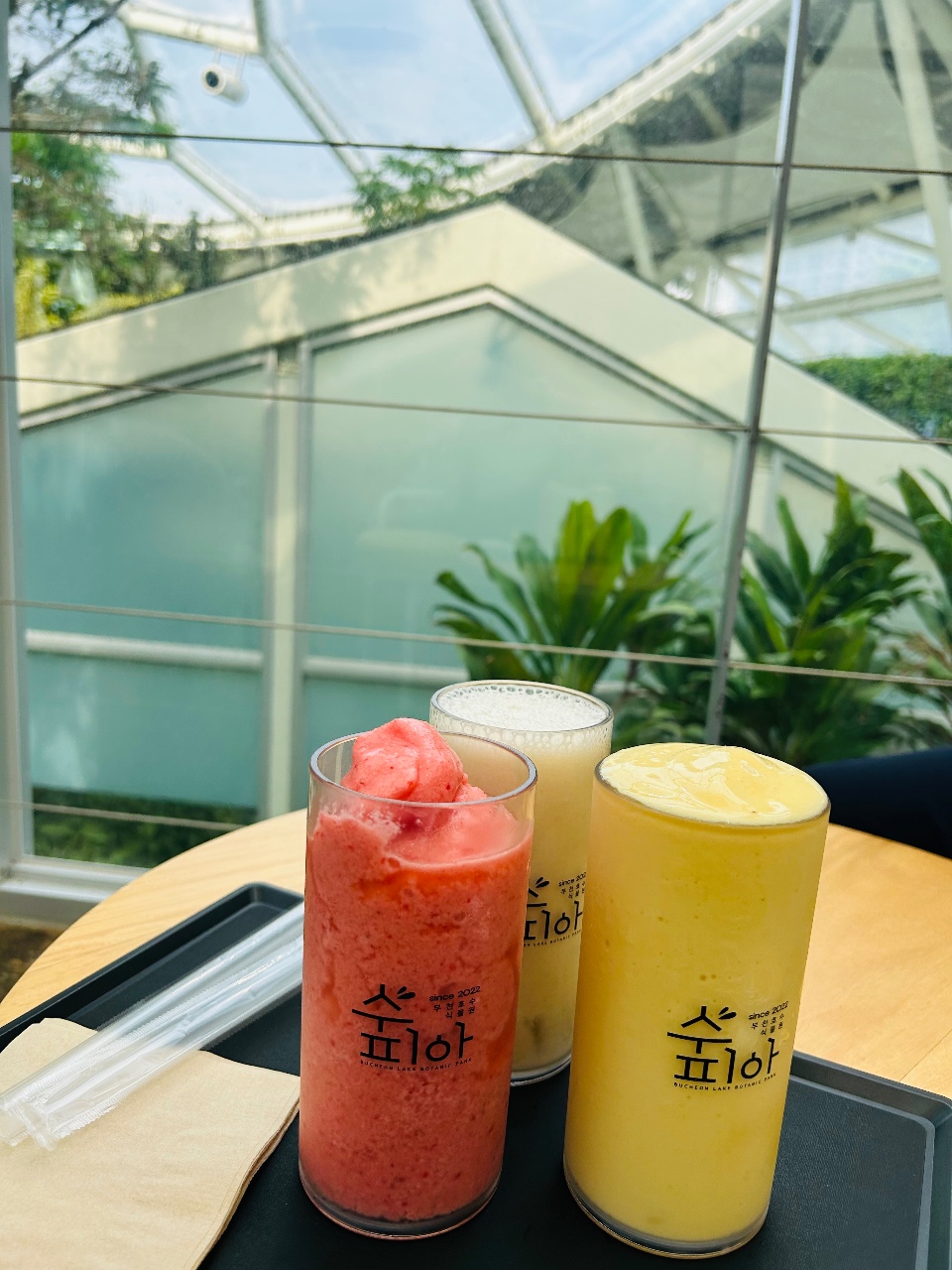 🪿보양&힐링 타임 🌴
