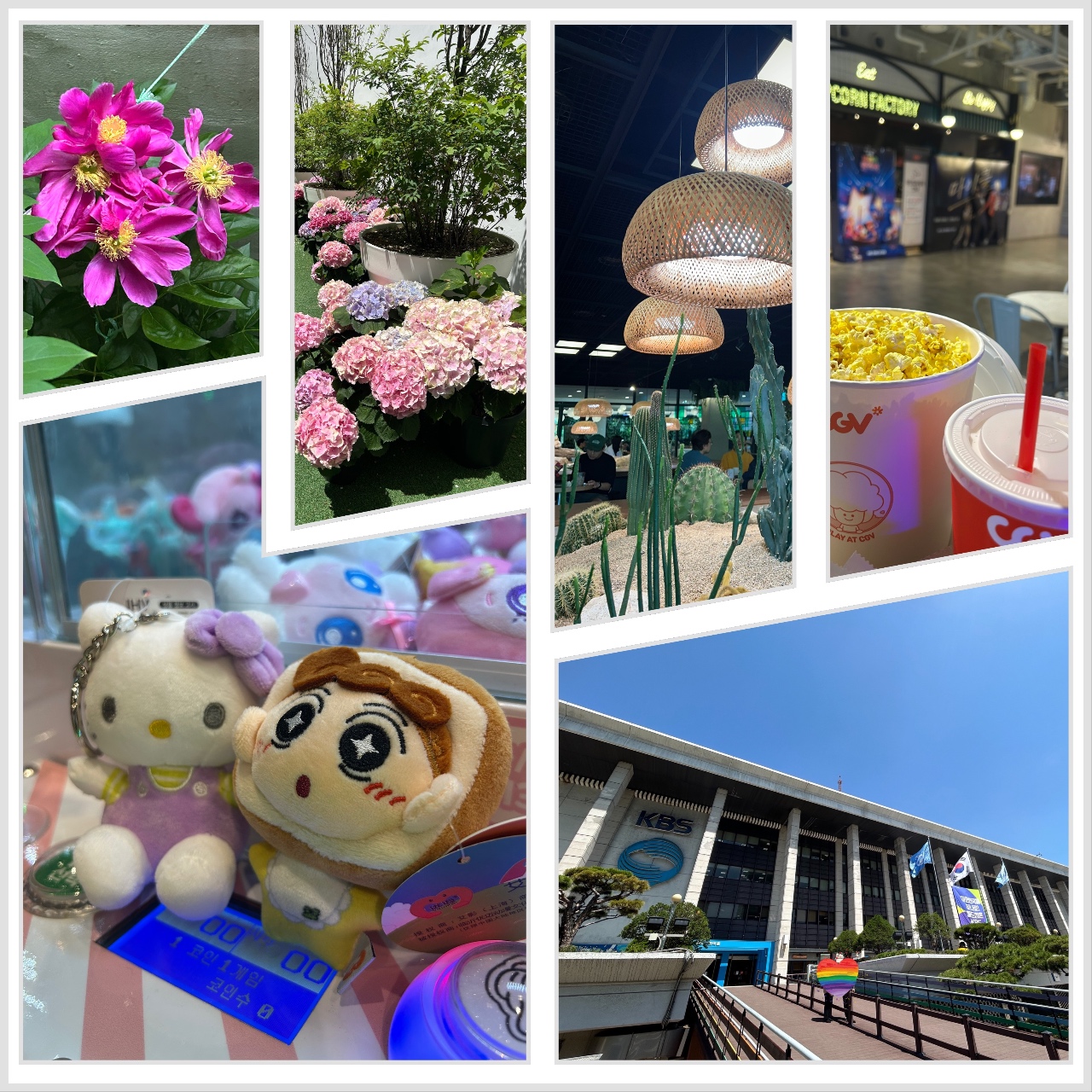 🌺🧸🦄Dike's 친구들 컬렉션 (&5월의 동번서번 기록 2📝)