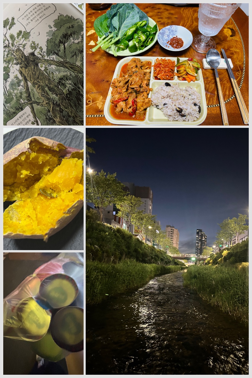 📝회복 힐링템 : 📚🍠🛌🍱🌬️🚶‍♀️‍➡️🍦