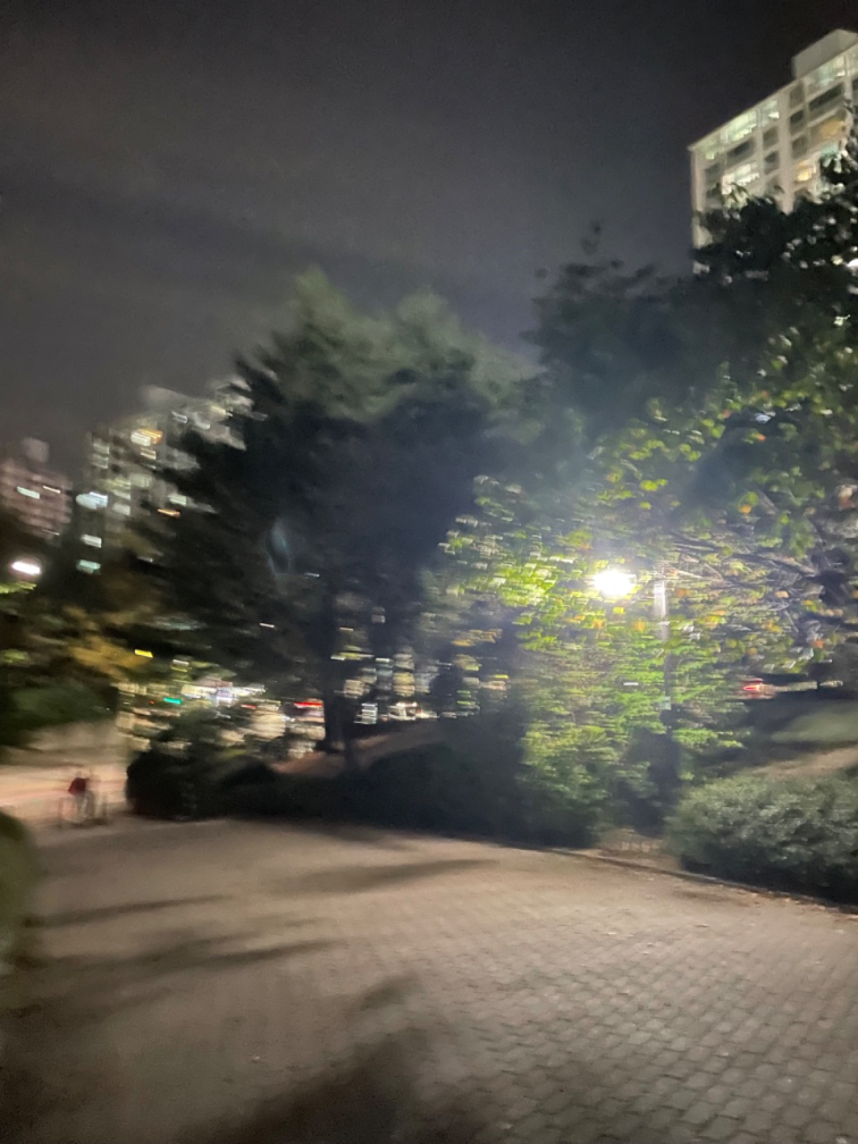만보걷기 성공💪