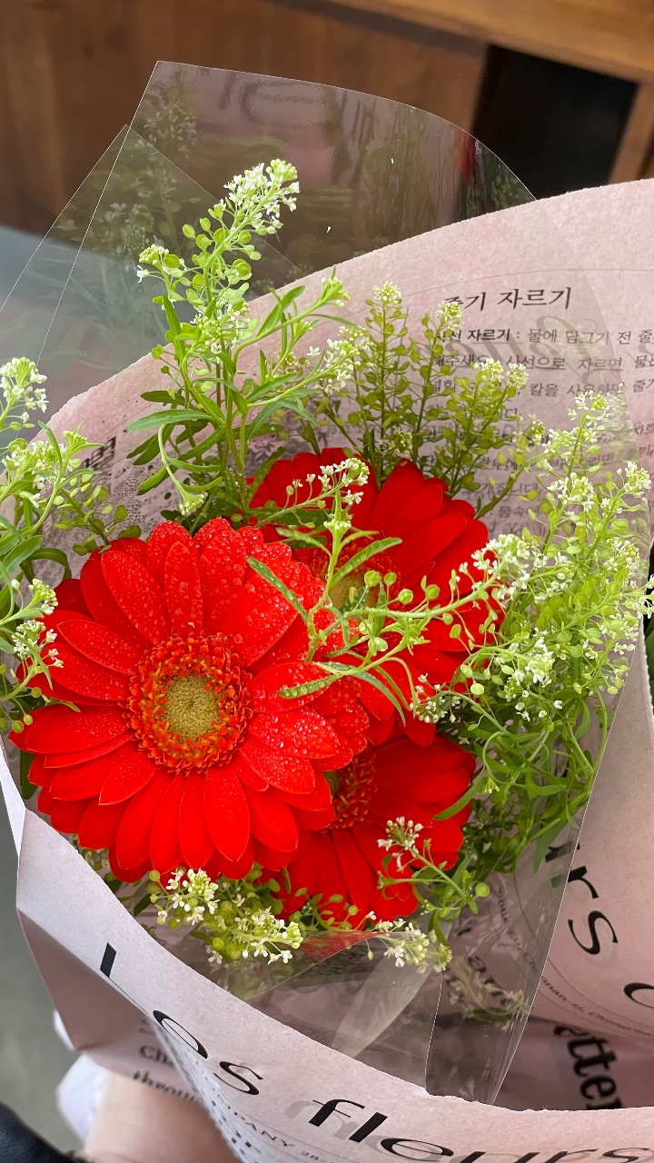 오늘의 꽃! 