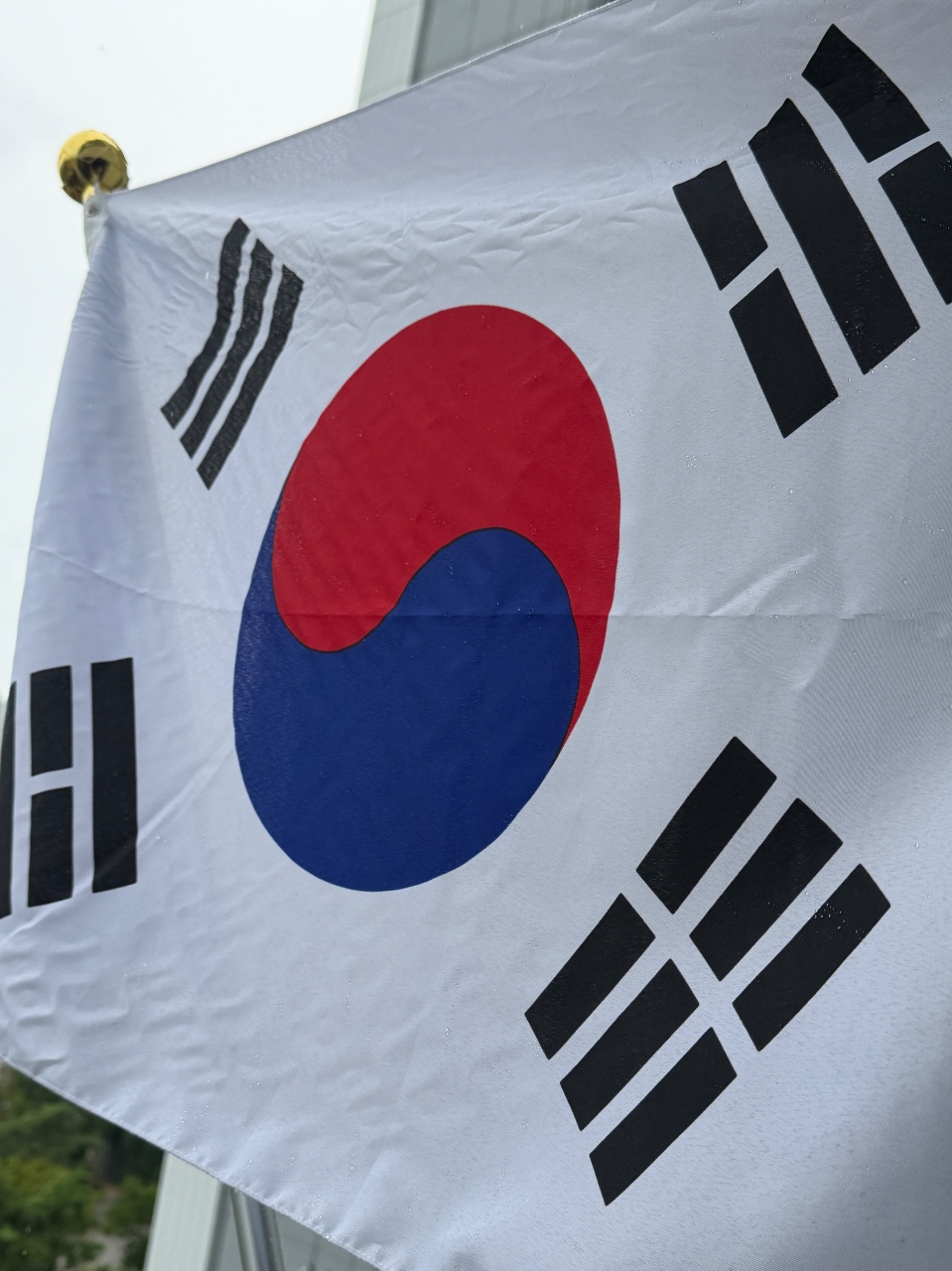 81주년 광복절 태극기 게양🇰🇷