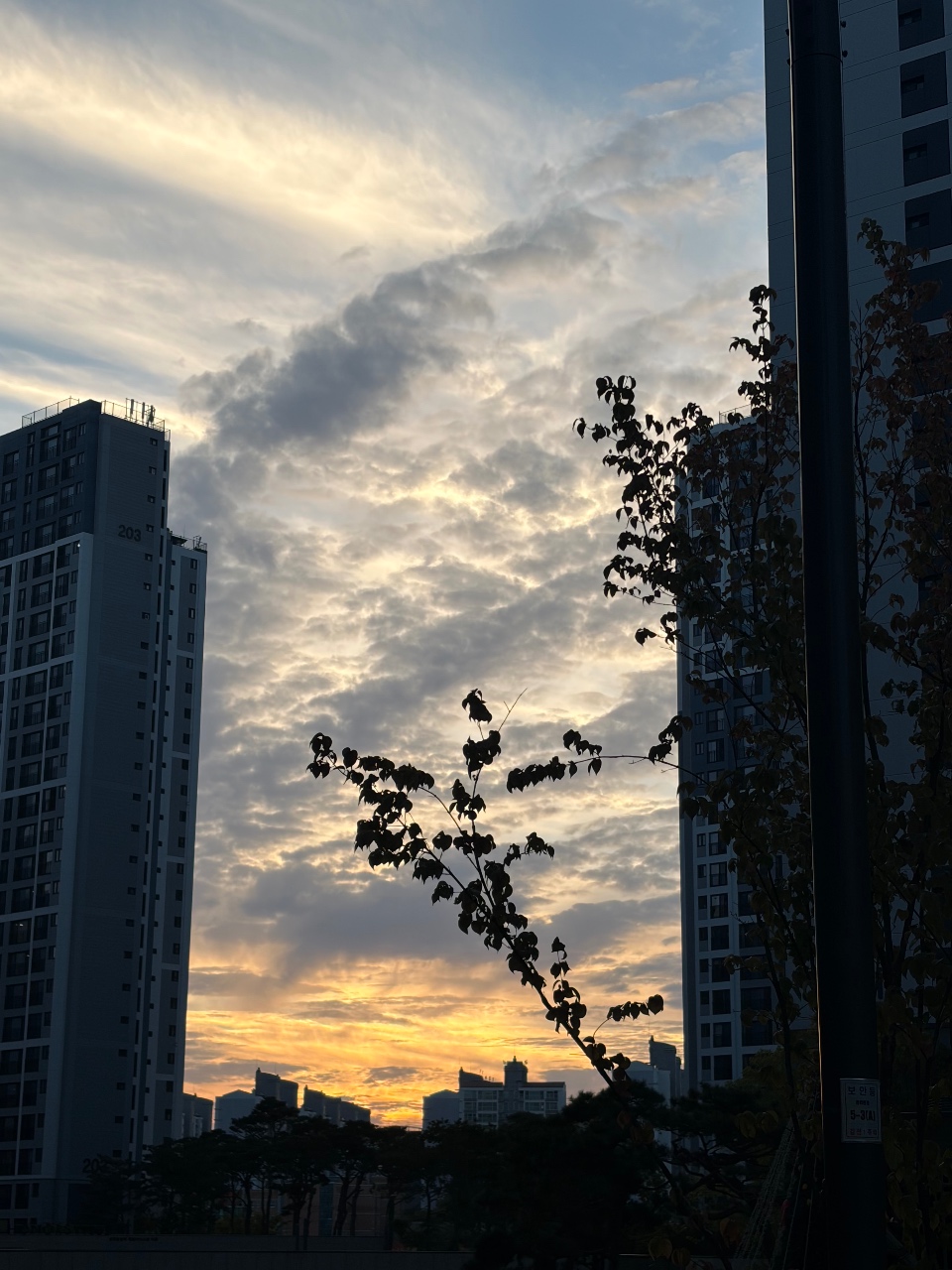 보는 재미있는 하늘💙
