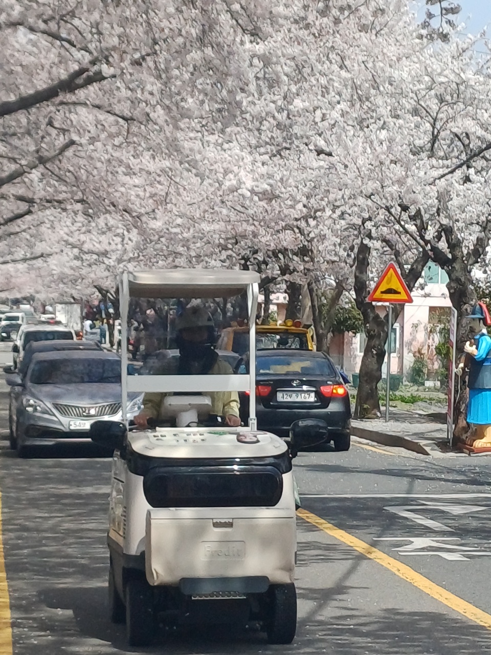 벚꽃 핀 거리에 주차된 자동차와 관광객
