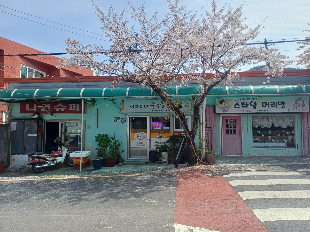 벚꽃이 피어있는 골목의 소상공인 가게들과 오토바이