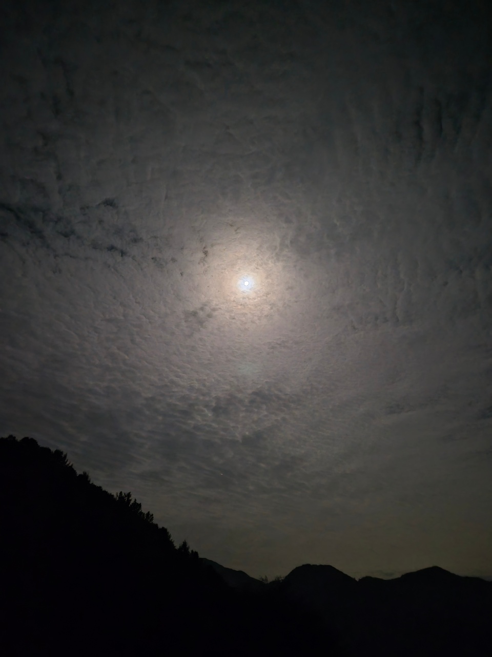 보름달🌝