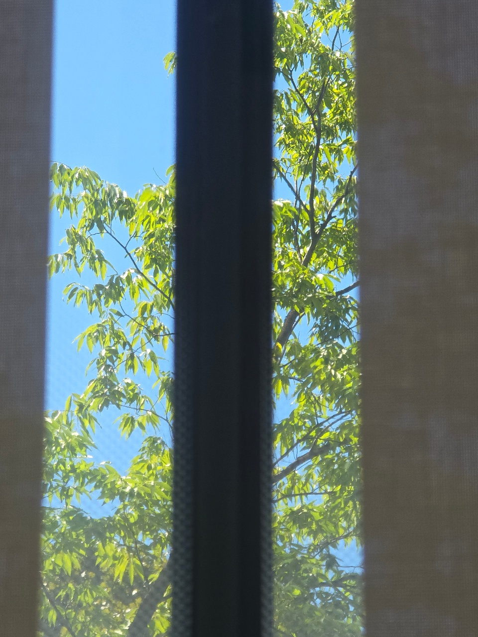 오늘 