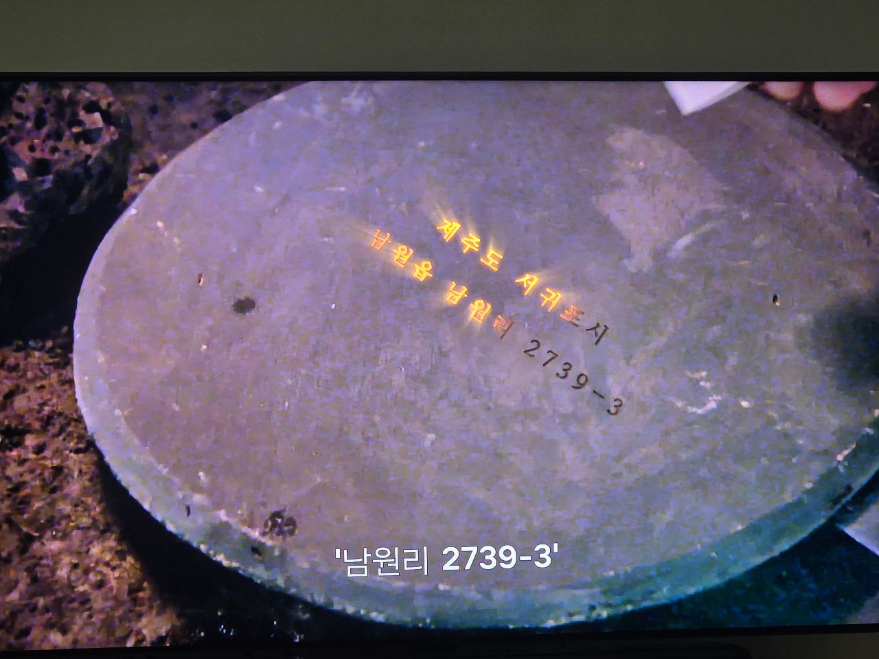 티비