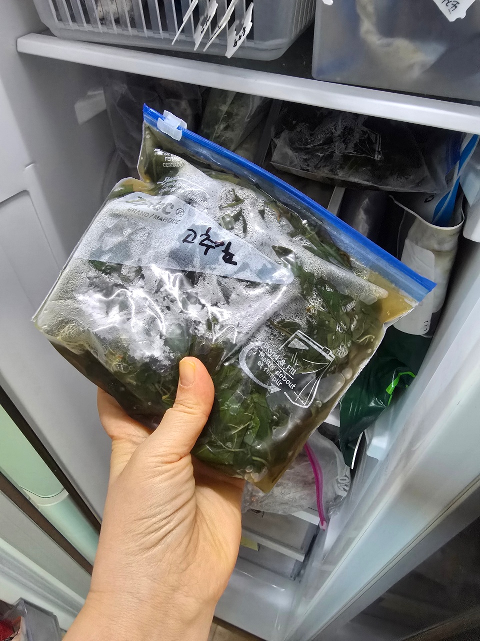 냉동실