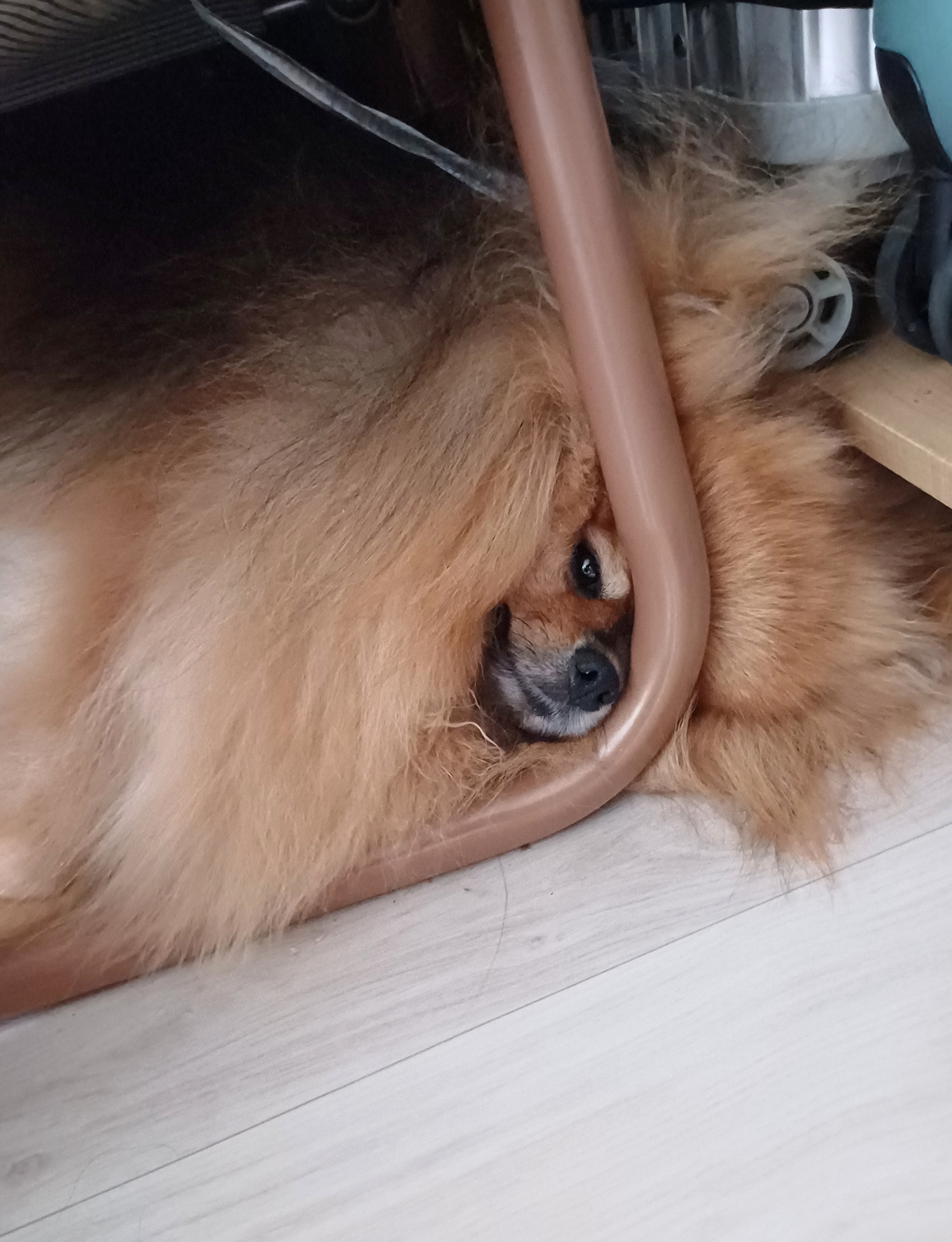 첨부파일