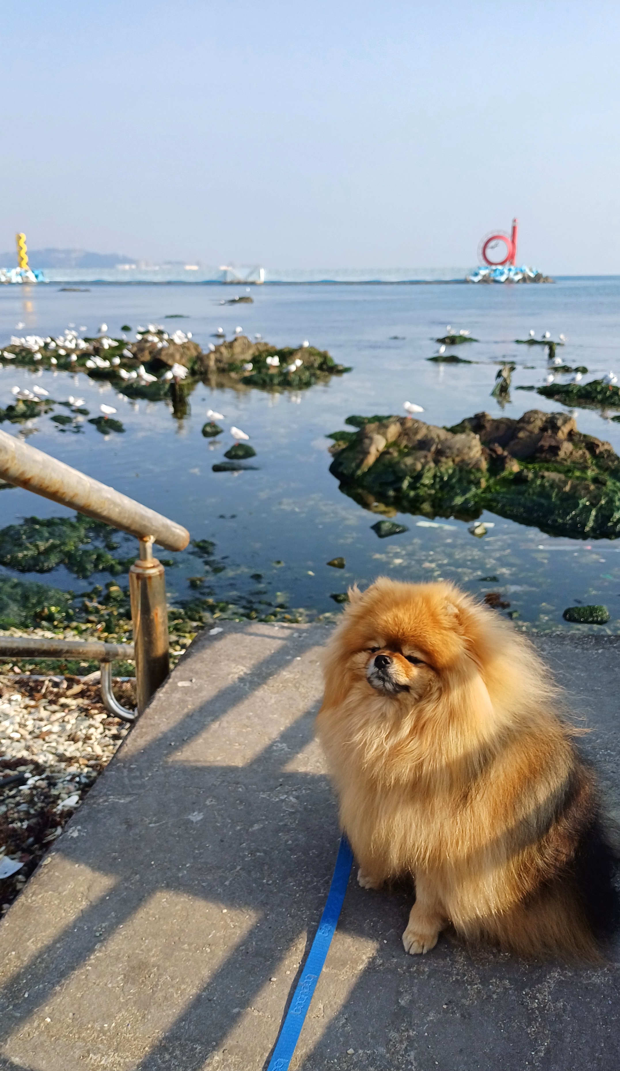 첨부파일