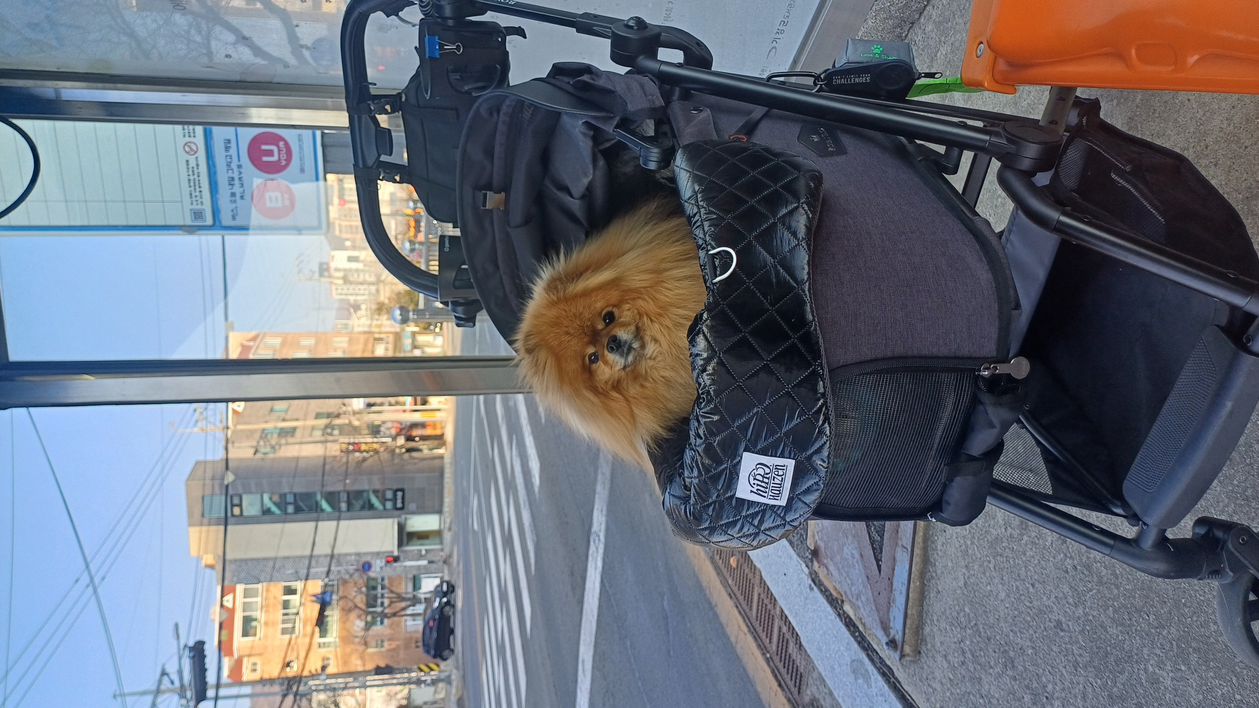 첨부파일