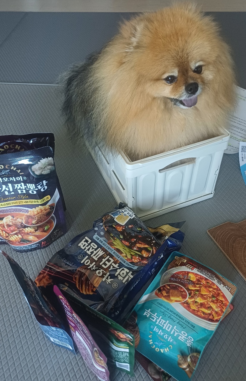 흰 바구니에 앉은 개와 주변에 놓인 라면·간식 봉지