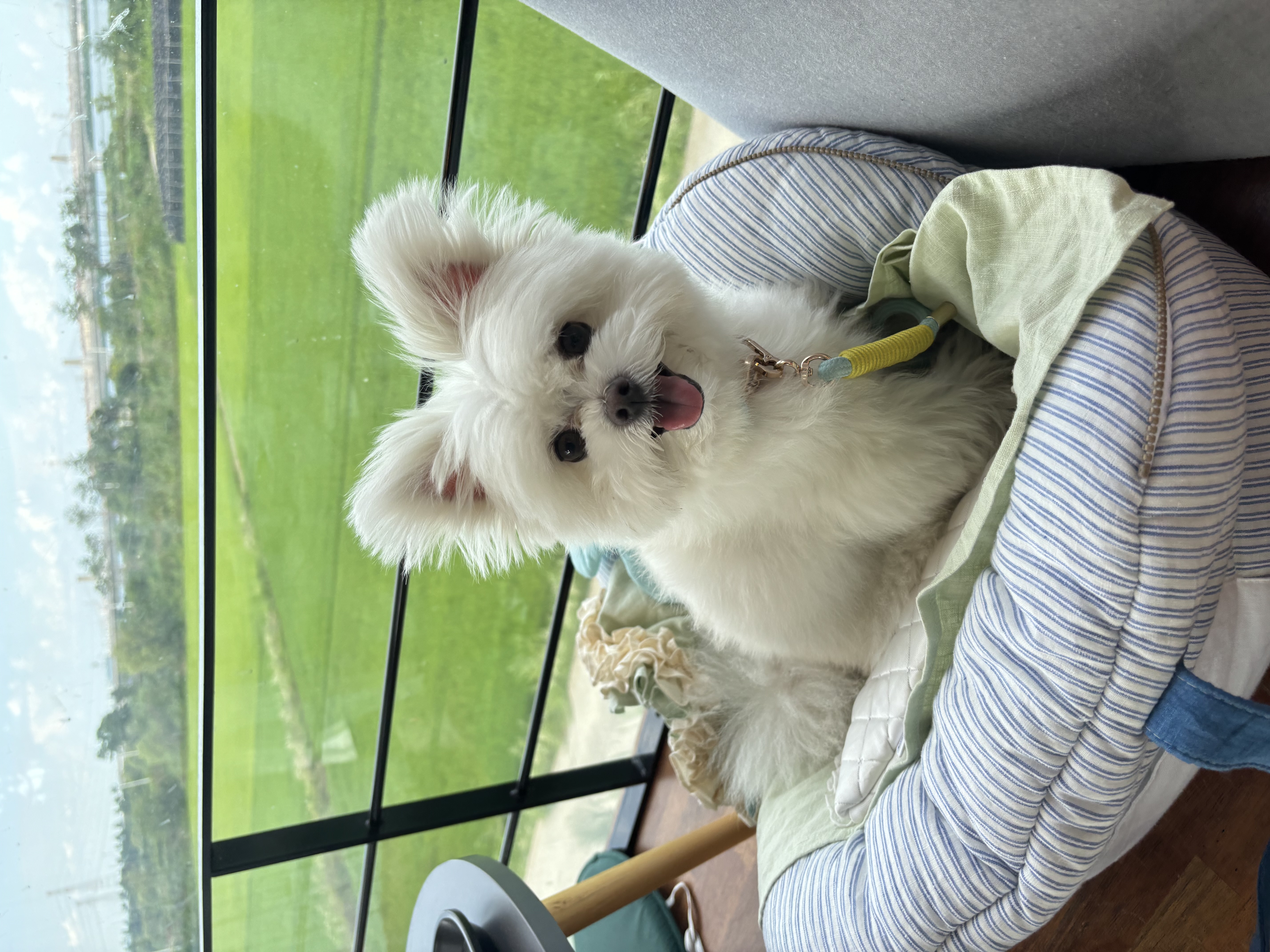 첨부파일