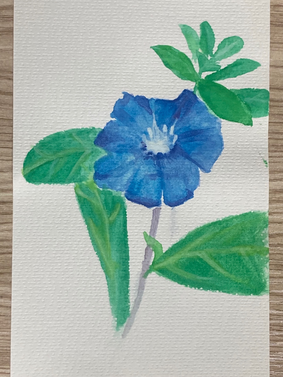 🎨수채화 그림에 도전해봤어요