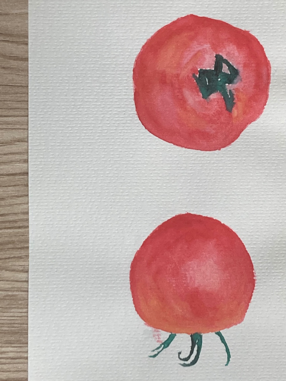 🎨수채화로 그린 토마토🍅
