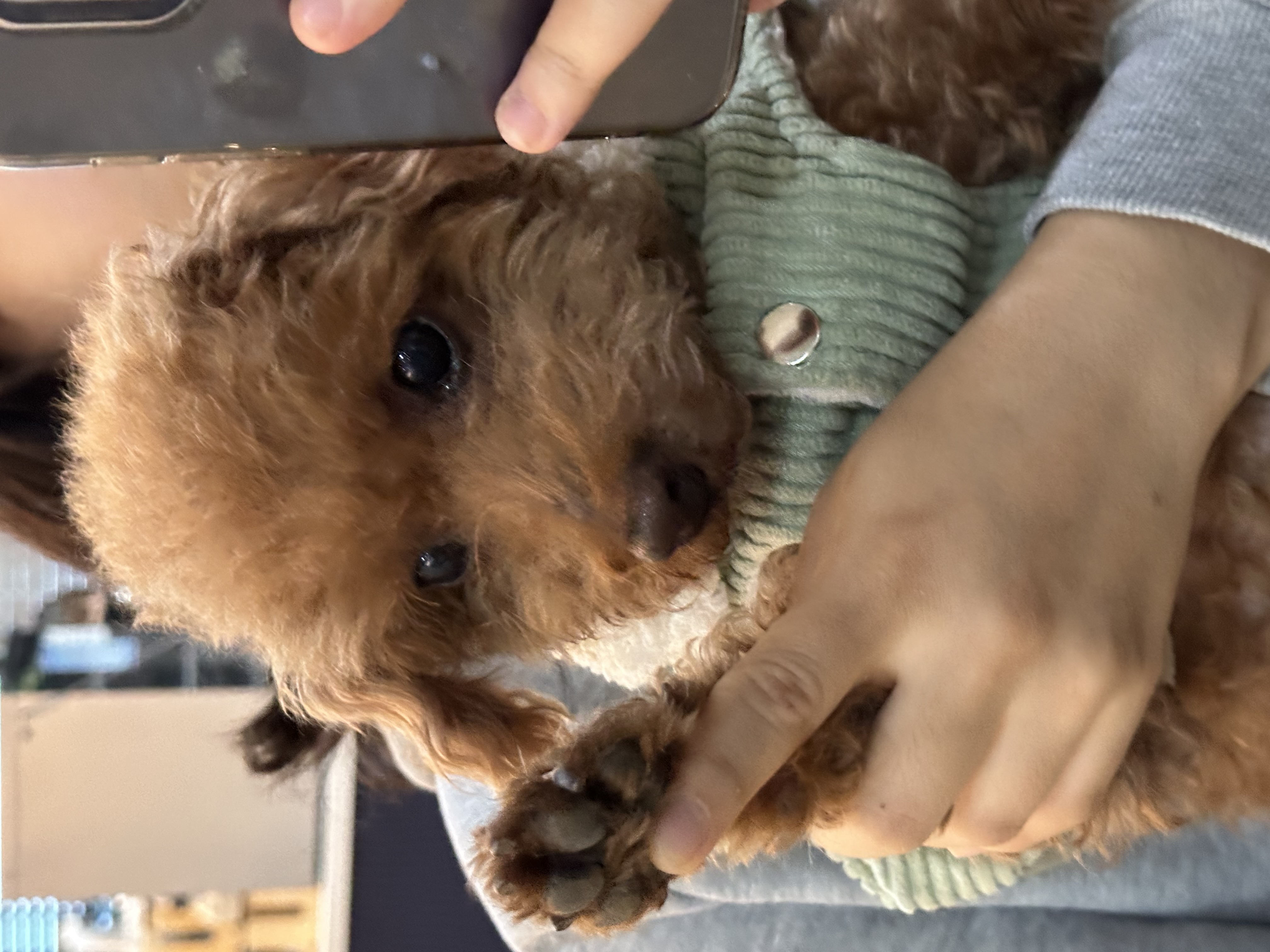 첨부파일