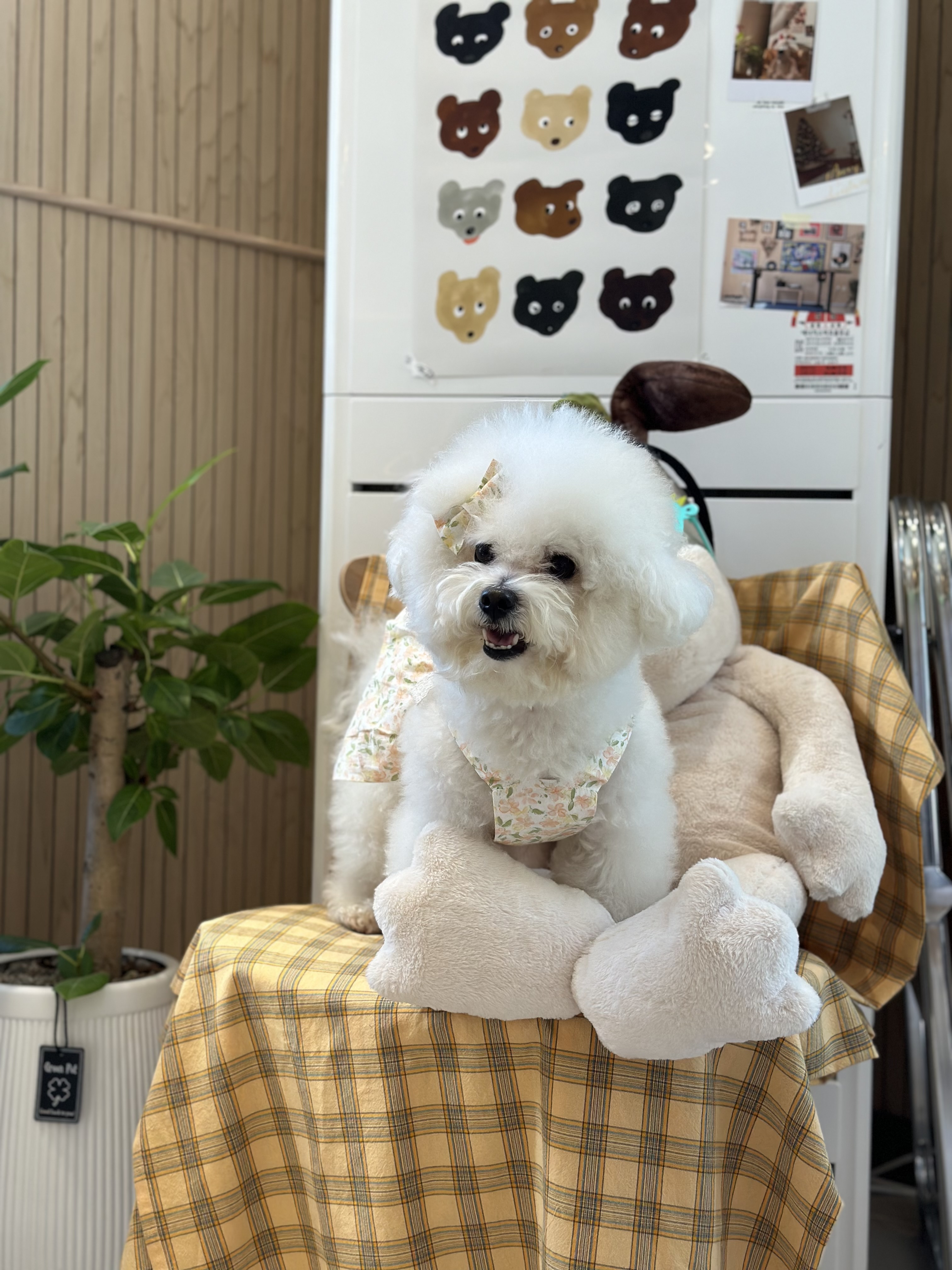 첨부파일