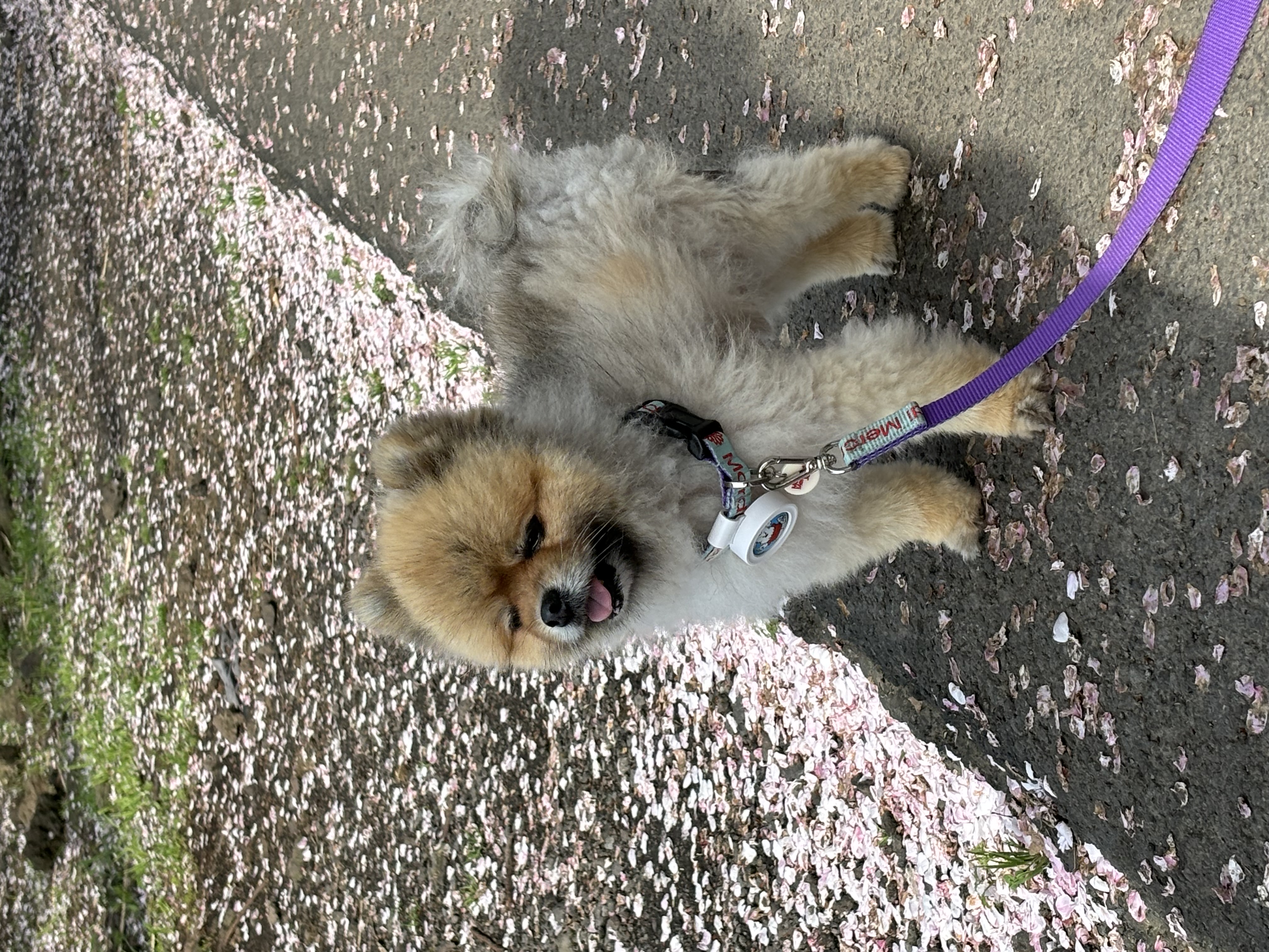 첨부파일