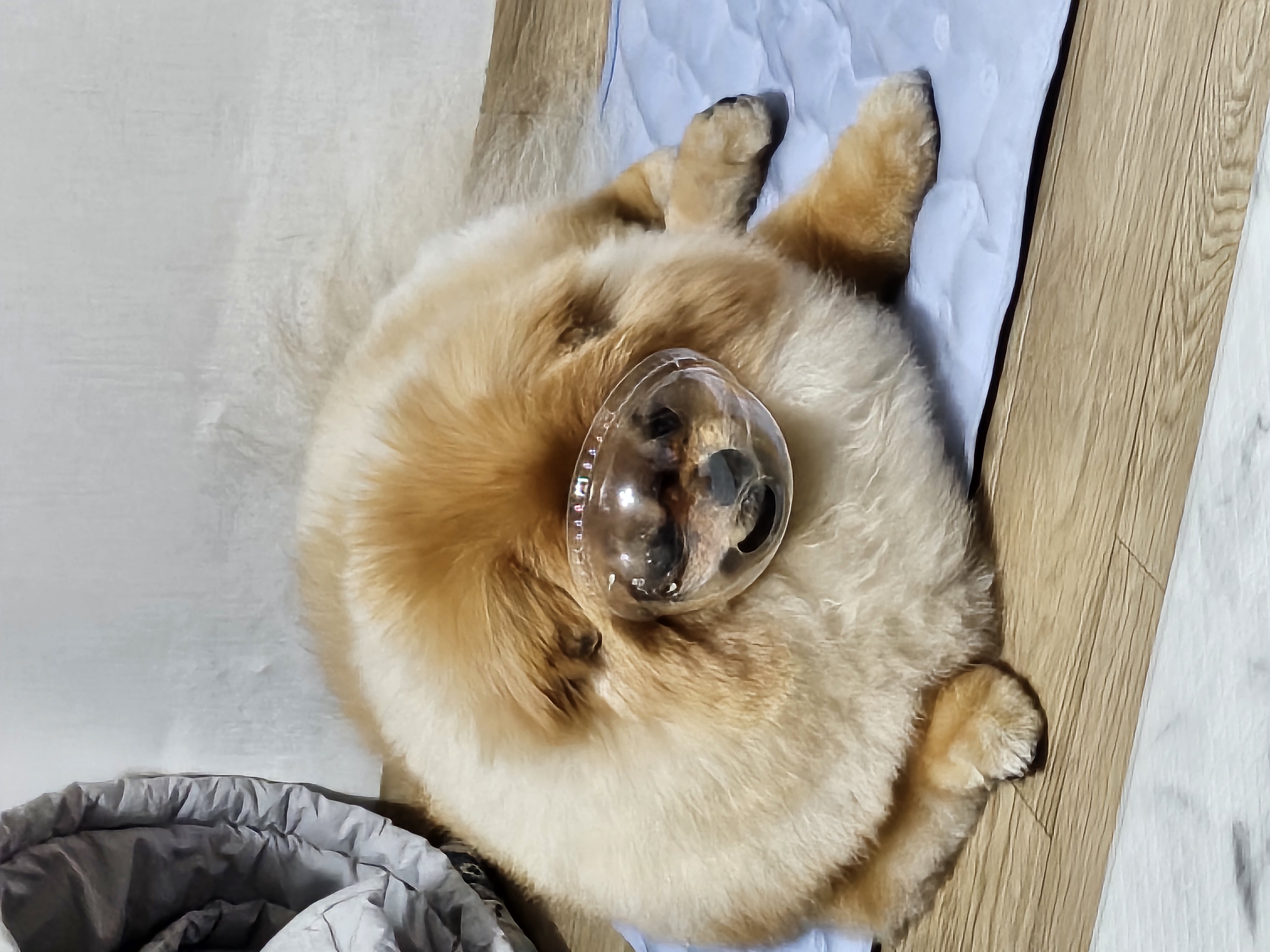 첨부파일