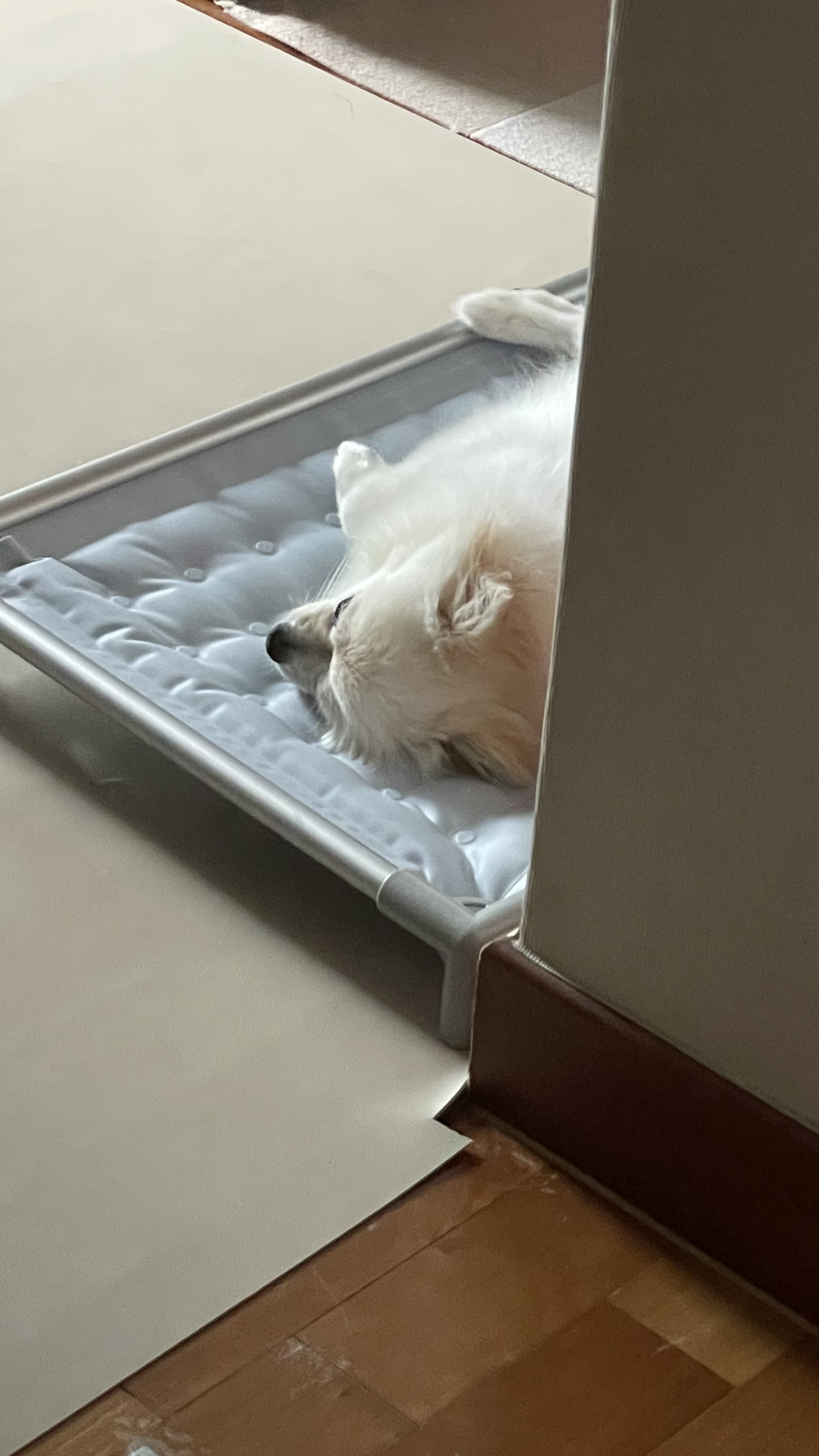 첨부파일