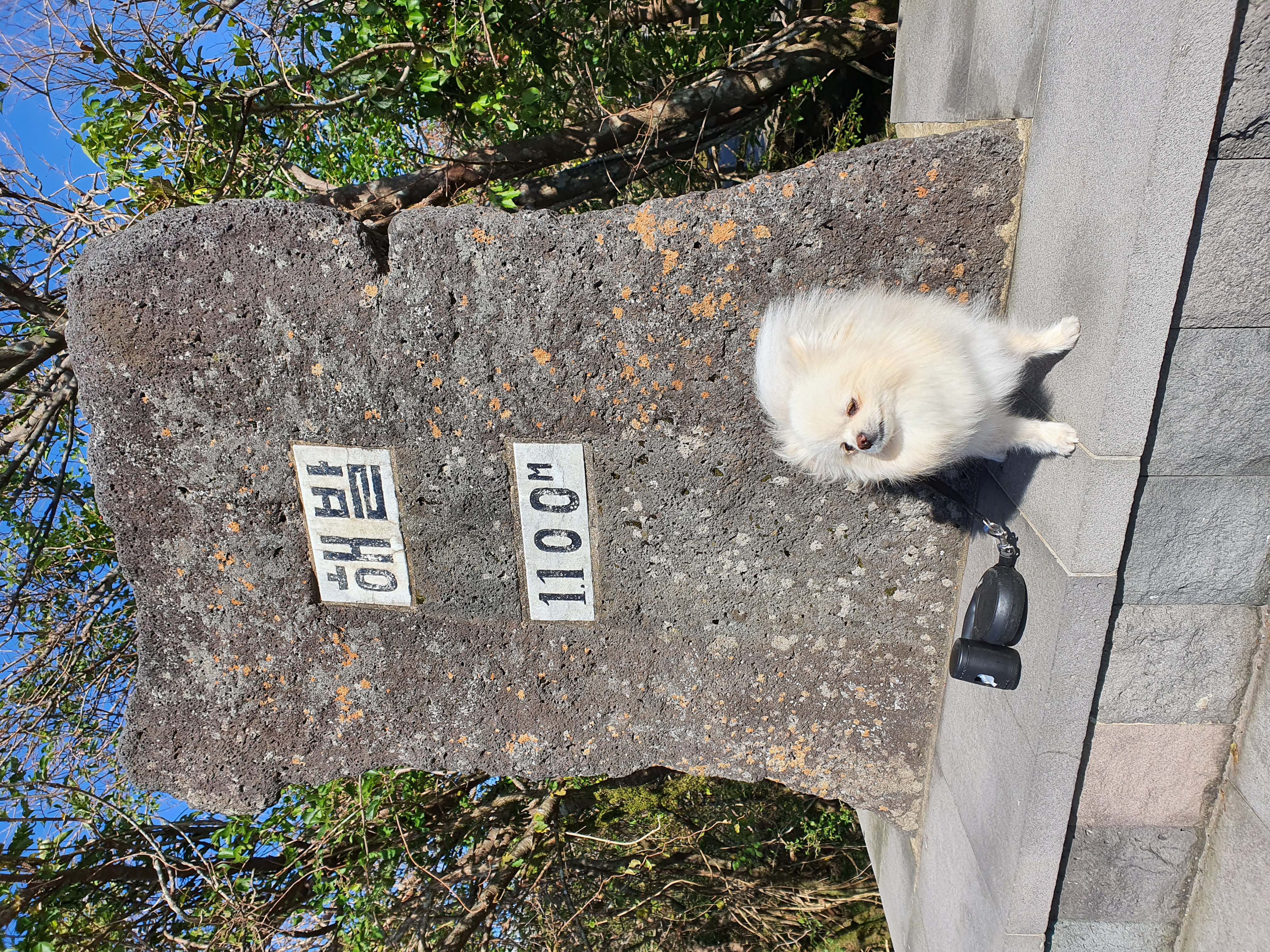 첨부파일