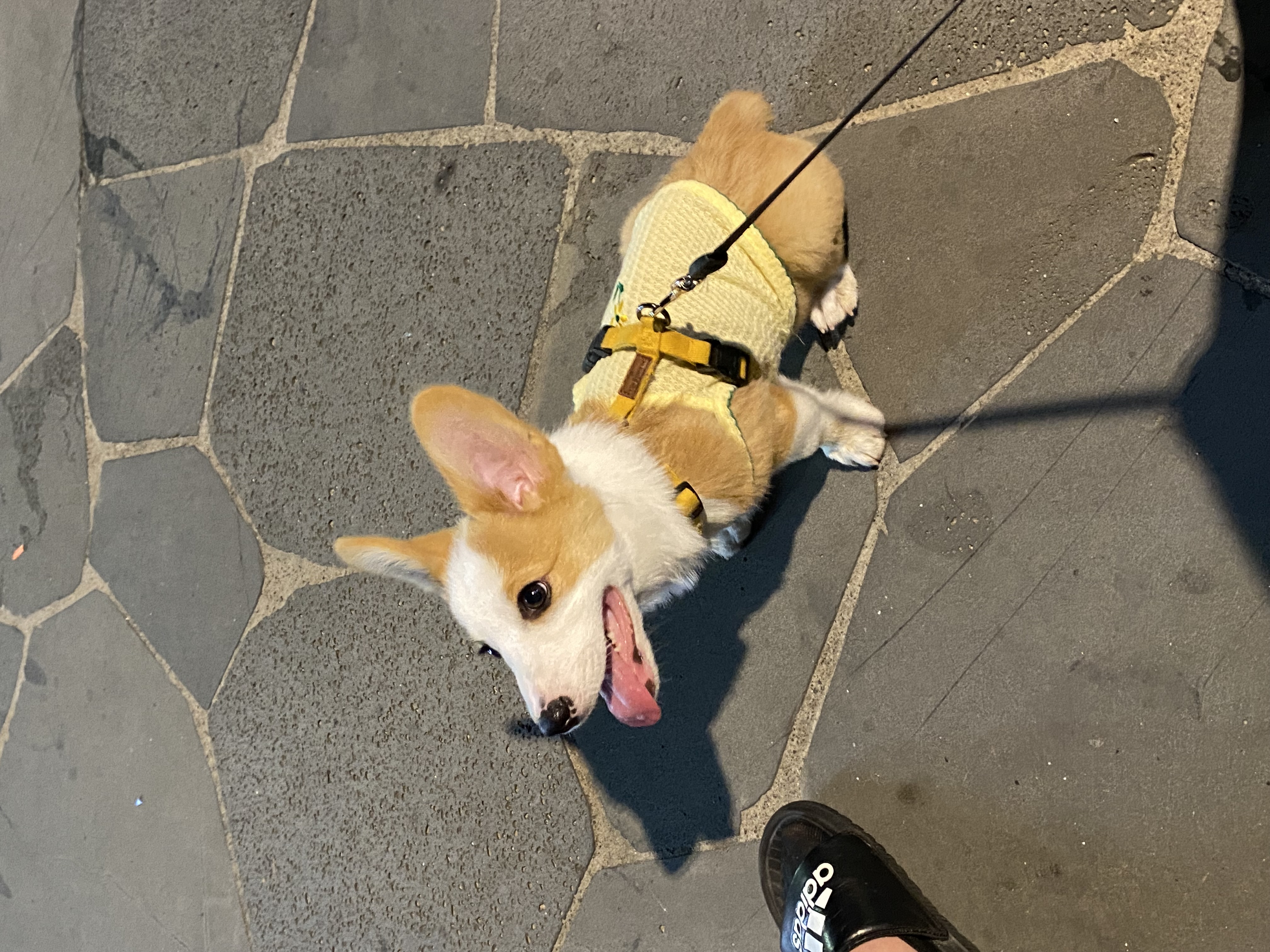 첨부파일