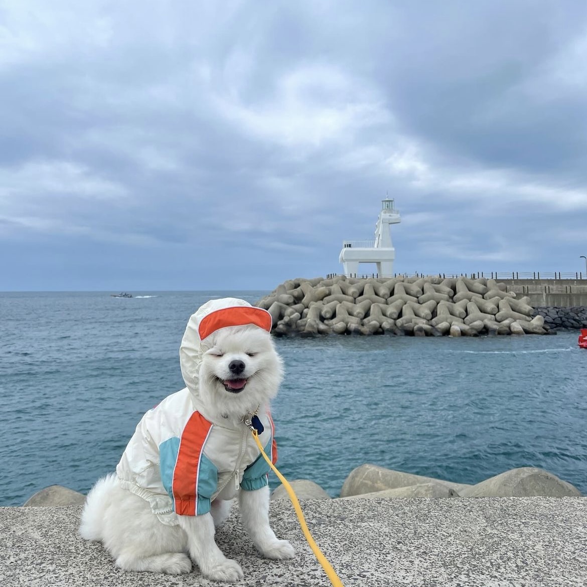 첨부파일