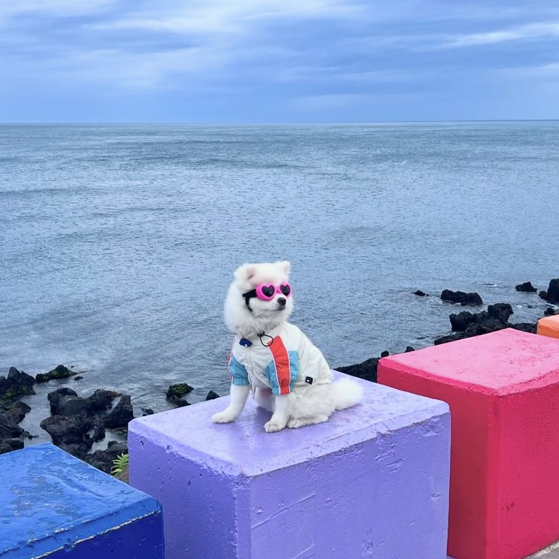 첨부파일