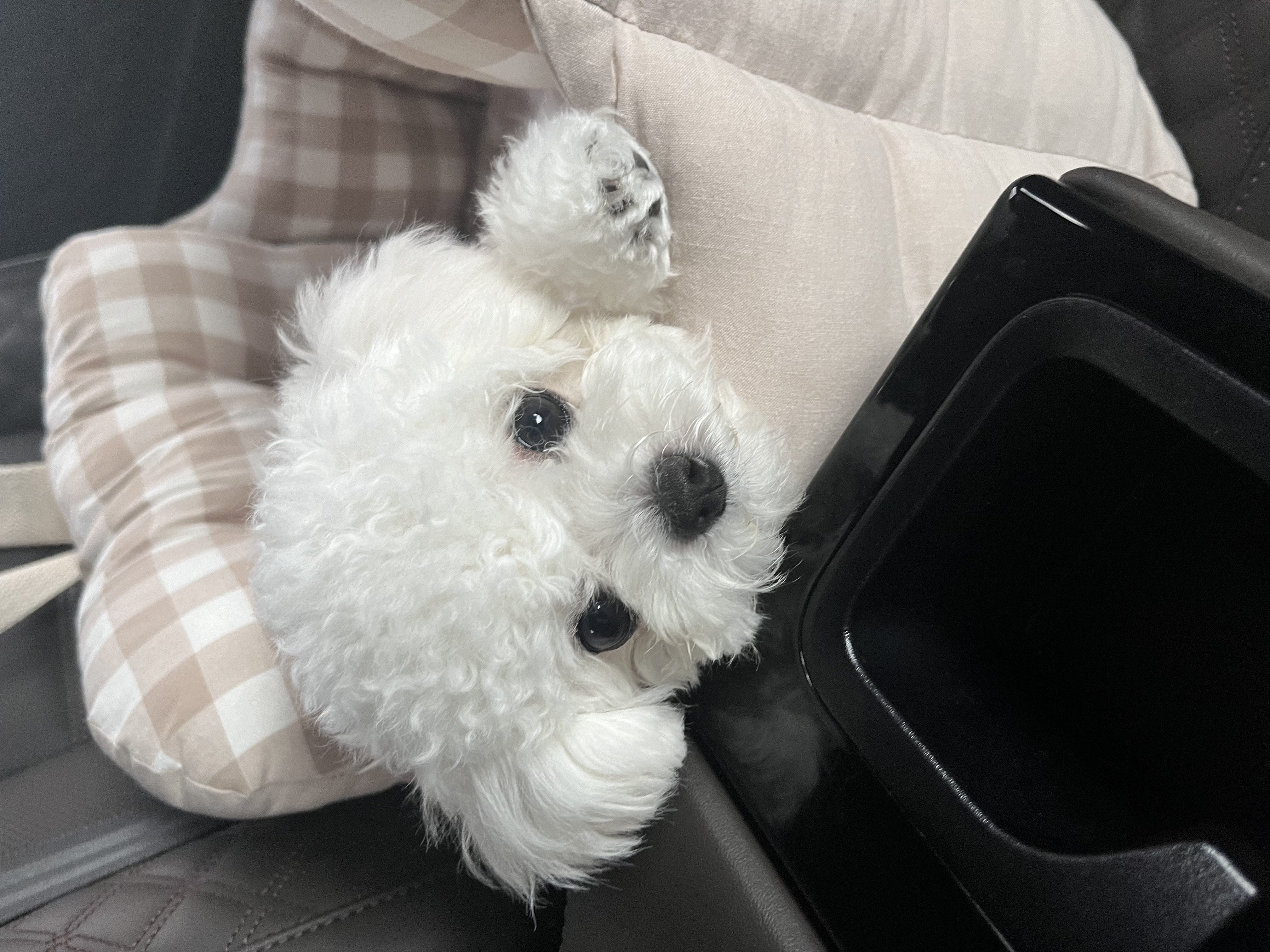 첨부파일