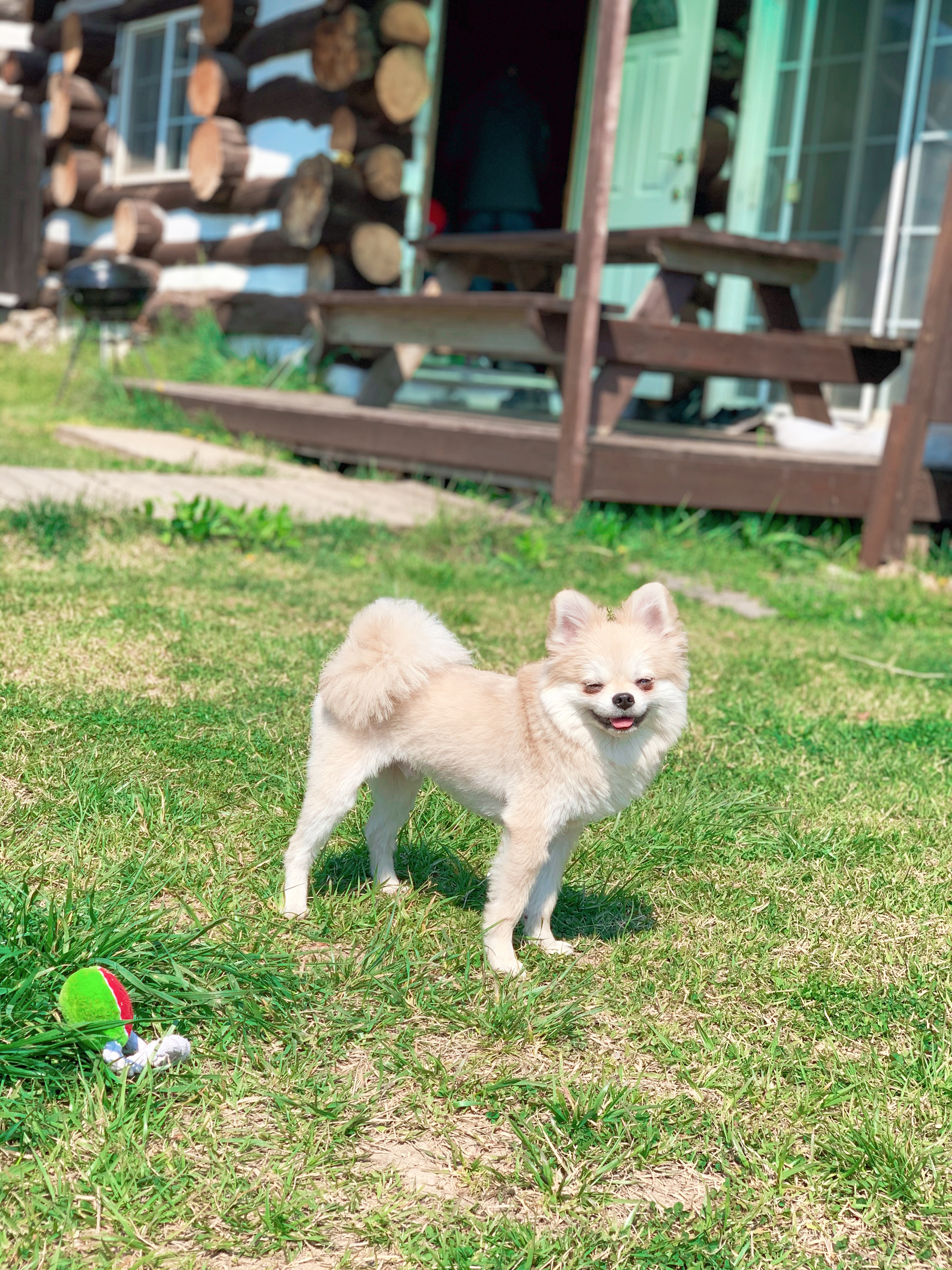 첨부파일