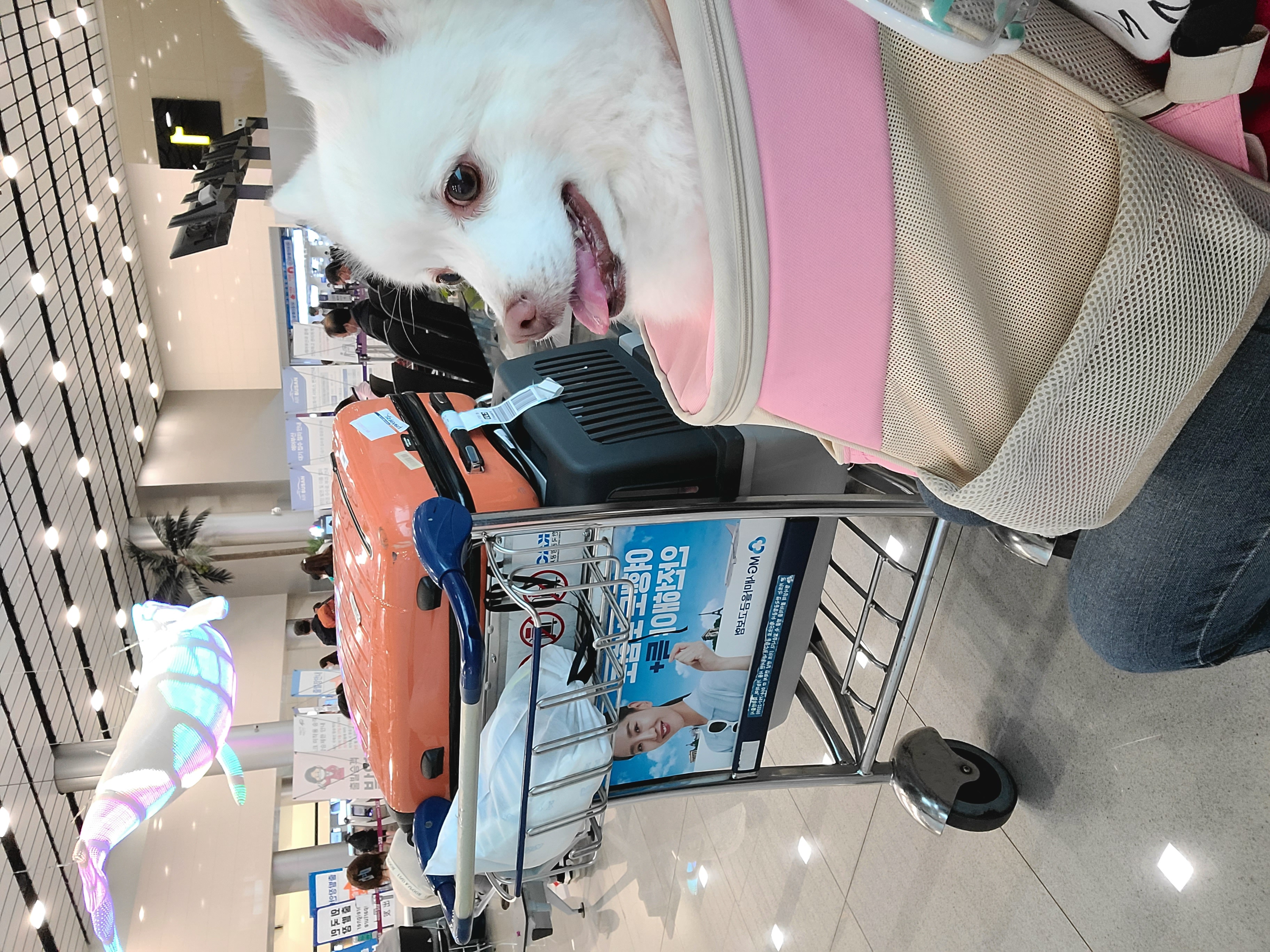 첨부파일