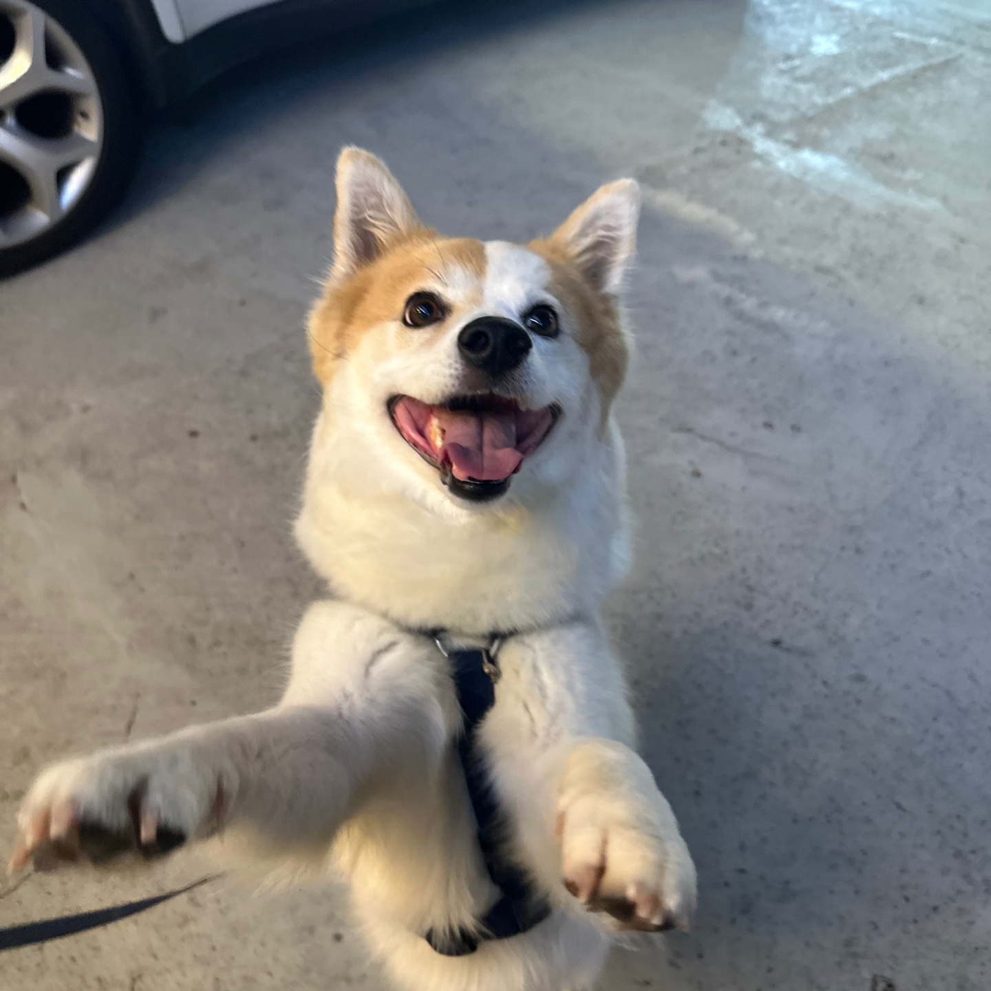 첨부파일