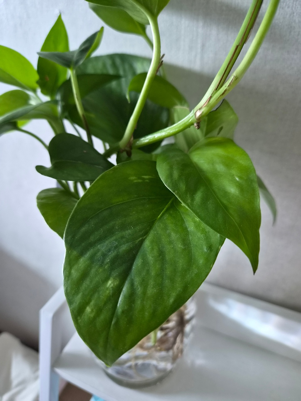 많이 자랐어요.☺️