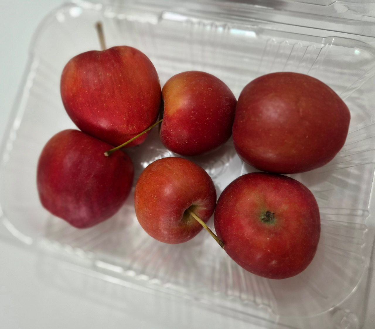 울애기가 따온 사과😍