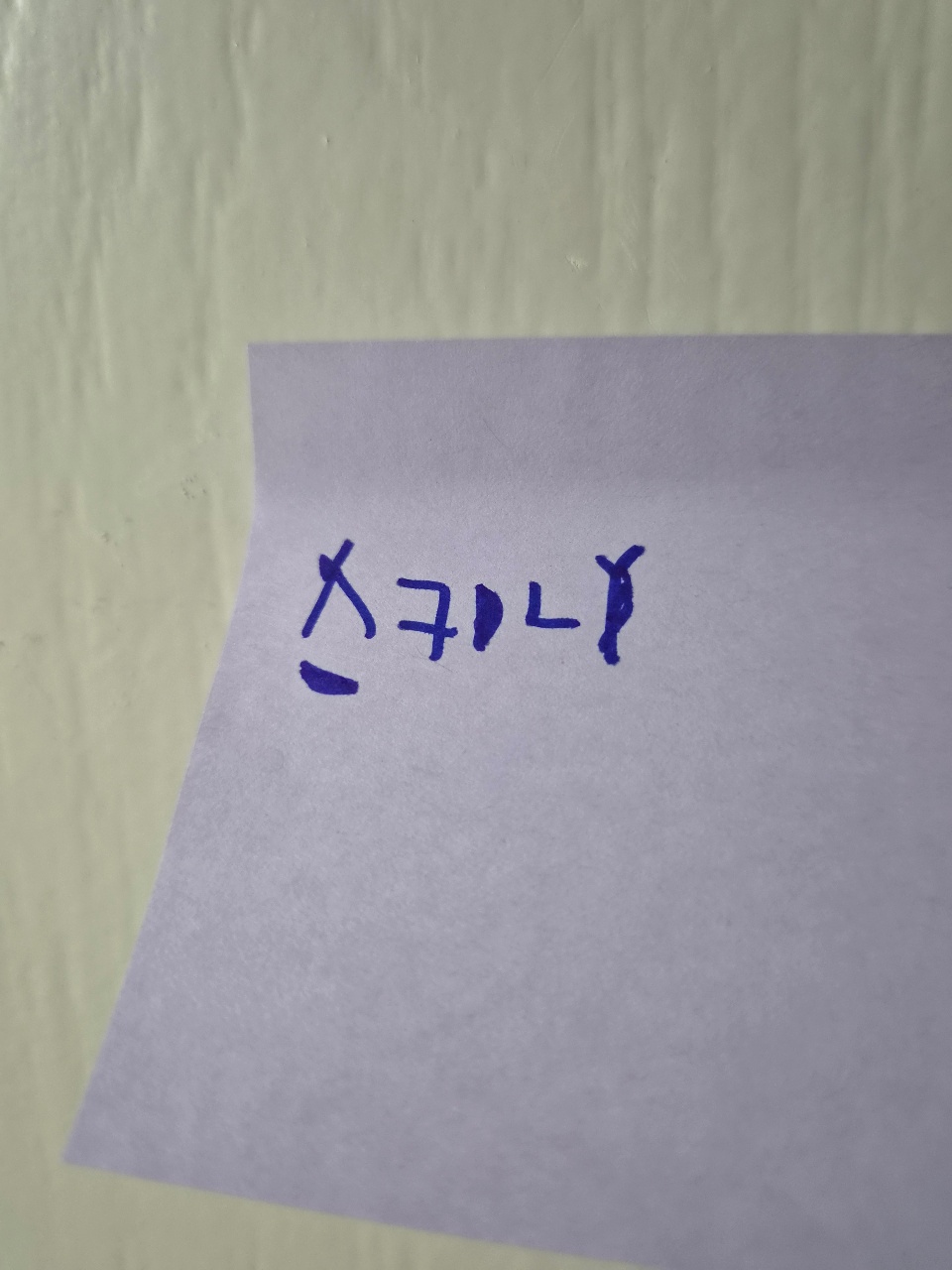 너의 이름은..☺️