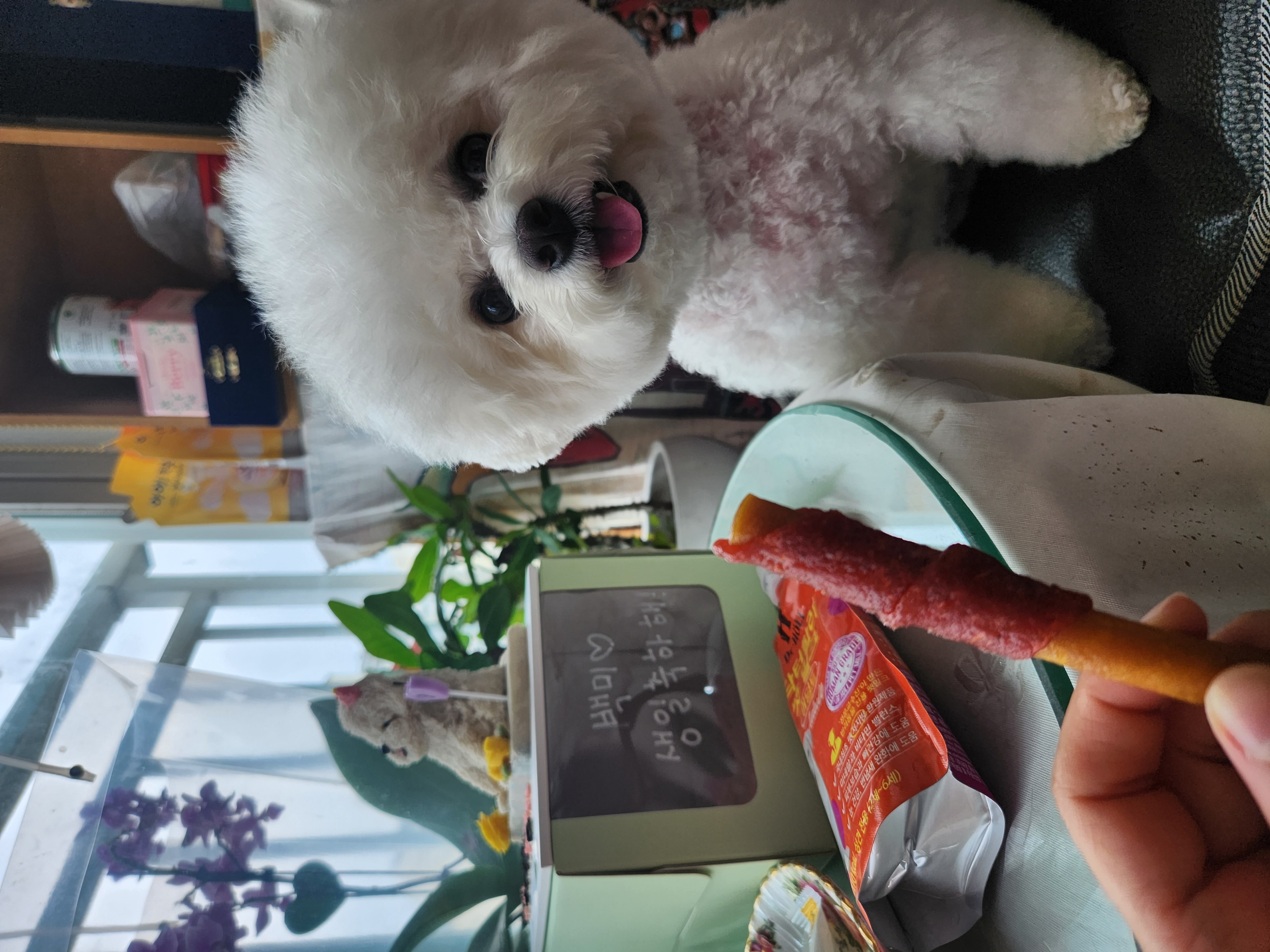 첨부파일