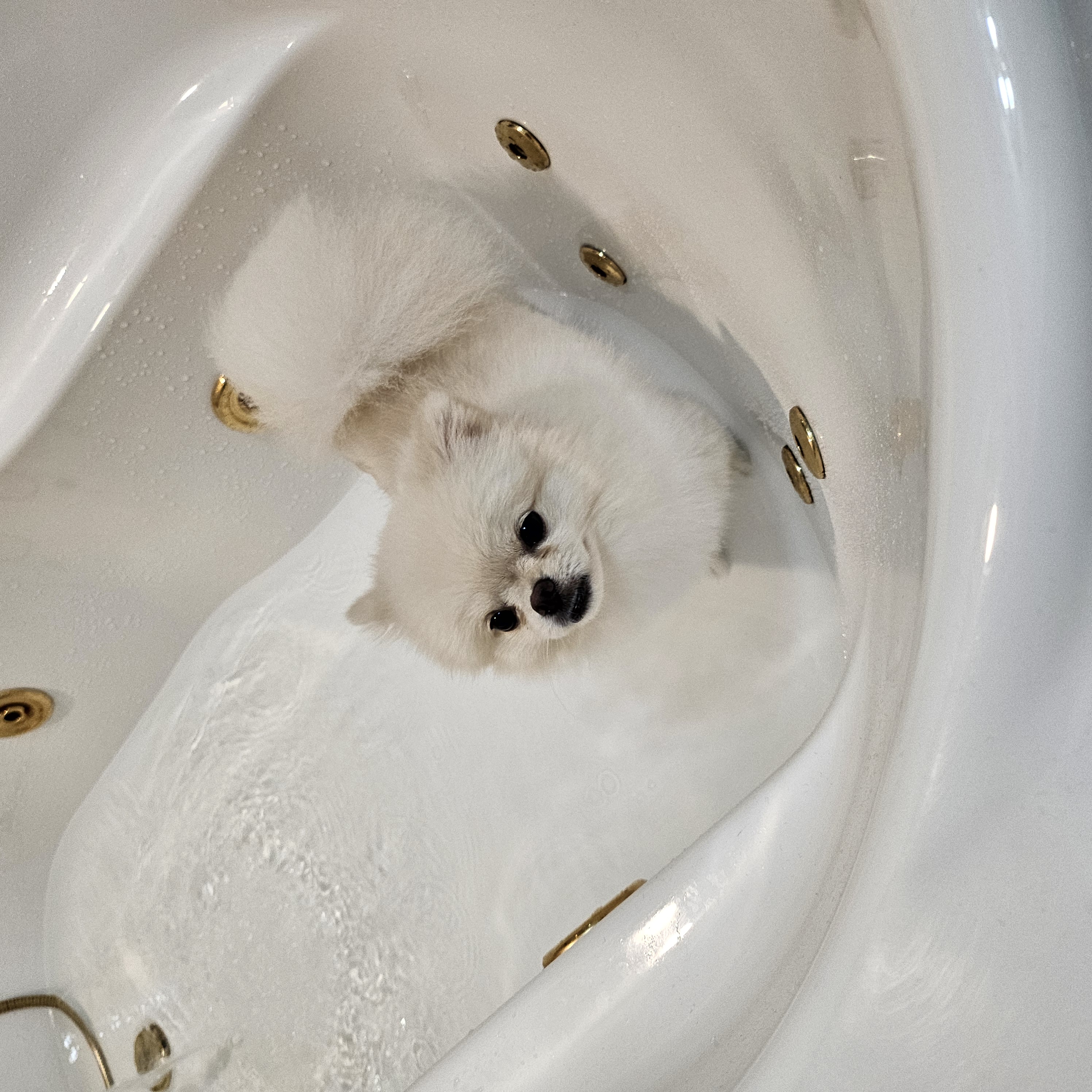 첨부파일