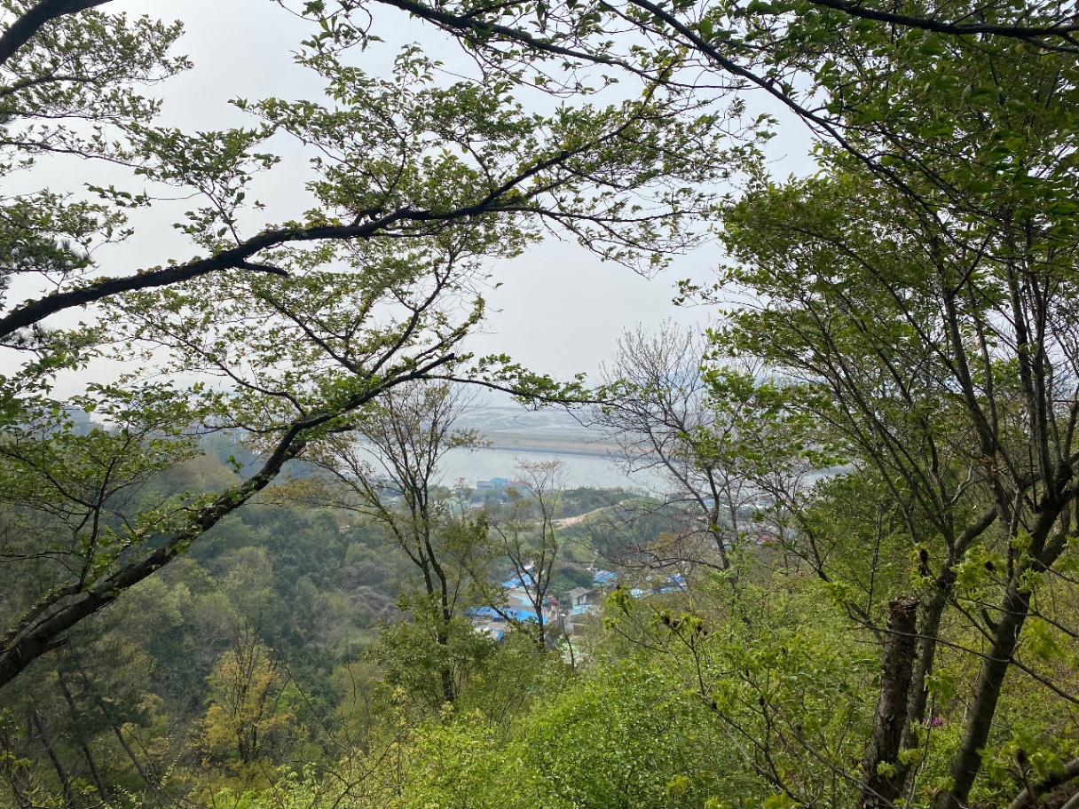 오늘은 등산 ⛰️⛰️⛰️⛰️⛰️⛰️⛰️⛰️