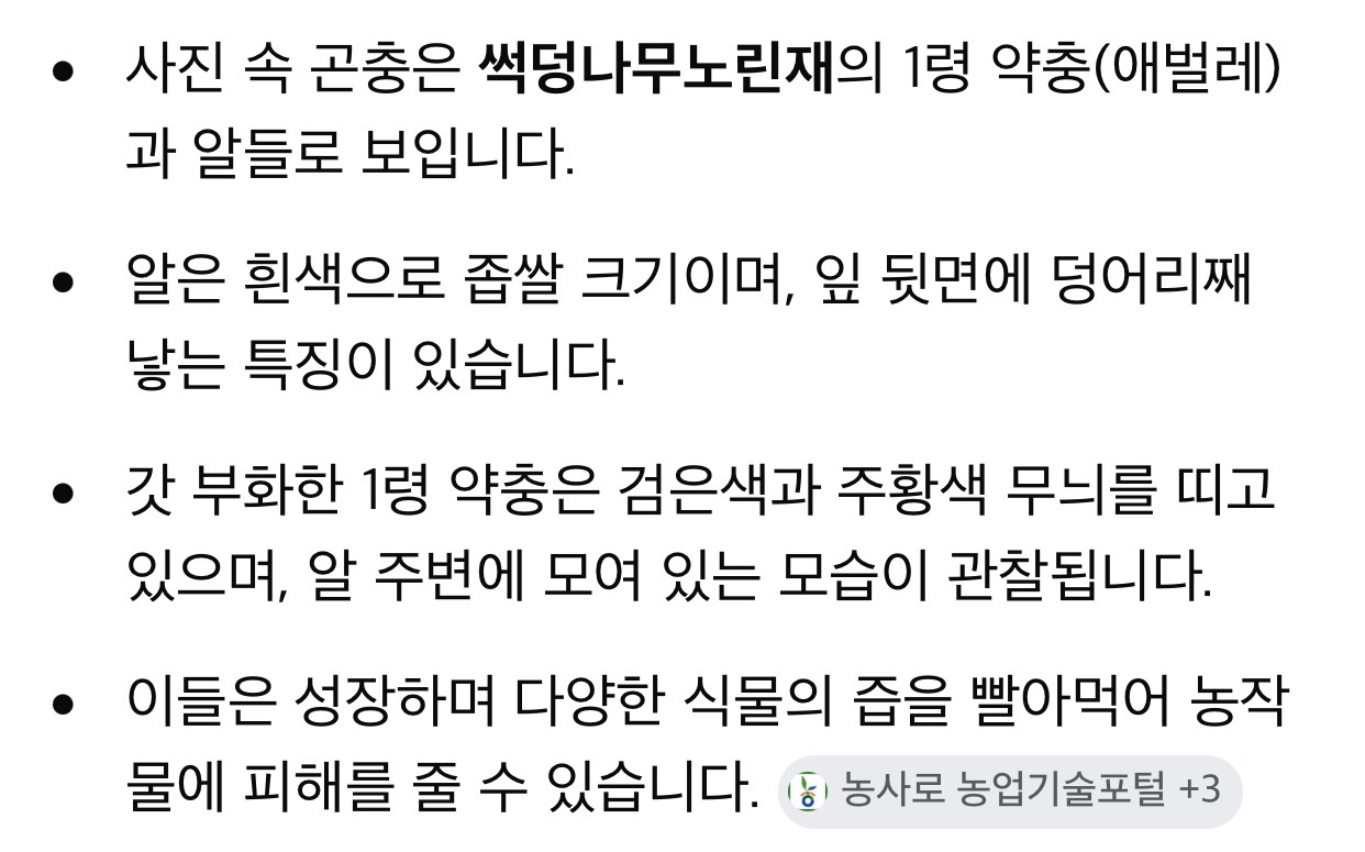 첨부파일