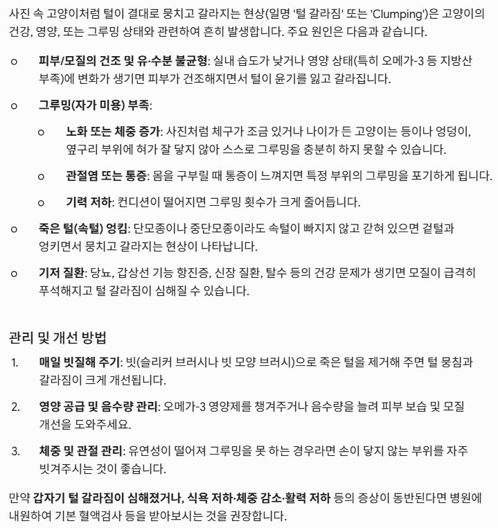 첨부파일