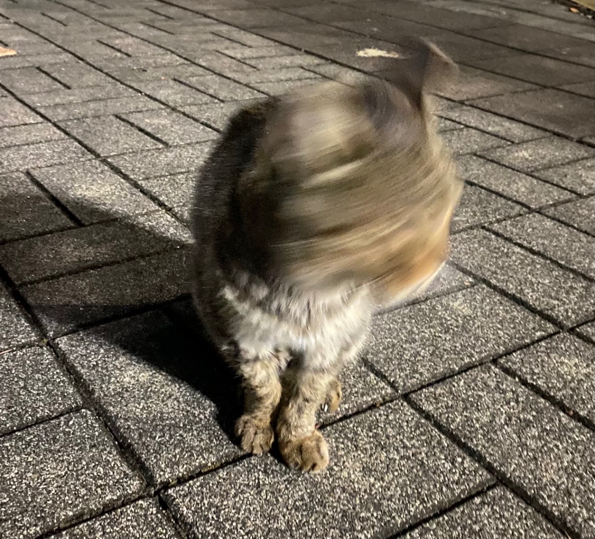 누굴까요? 