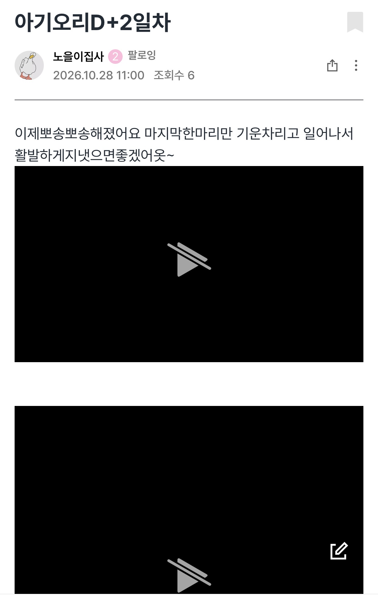 ios 동영상 플레이가 안됩니다. 