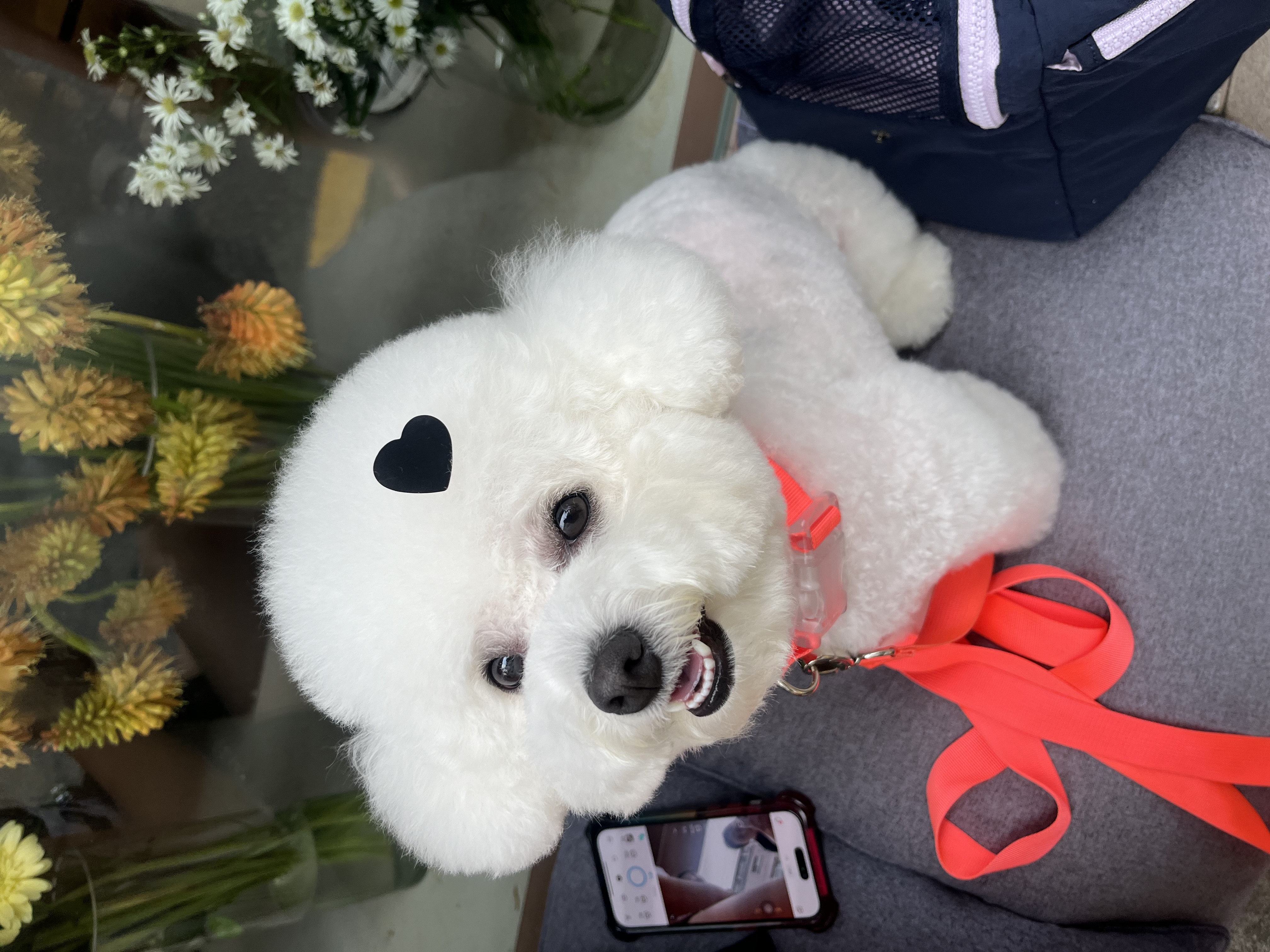 첨부파일