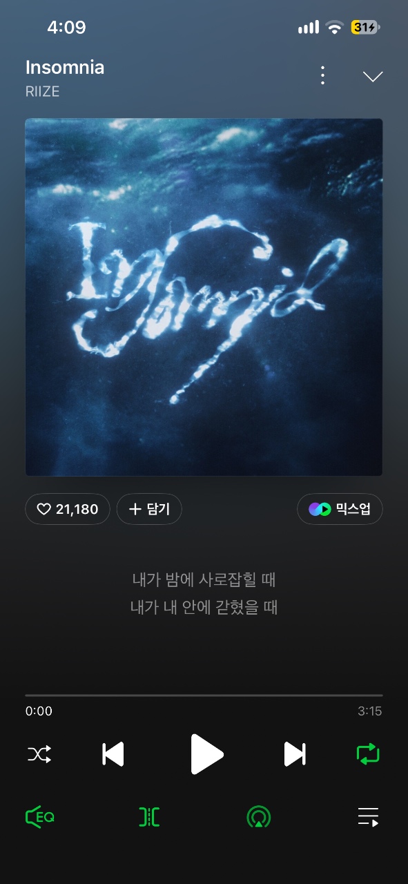 라이즈 인썸니아 열심히 듣는중😌💤